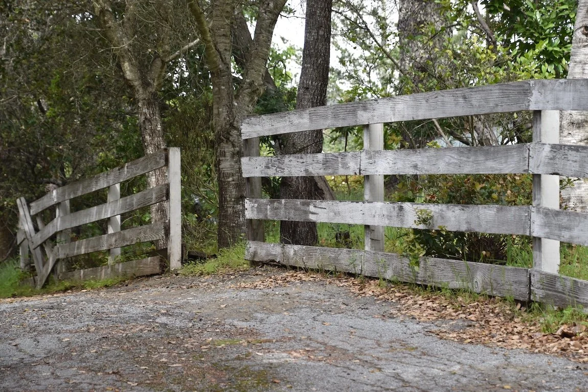 #2567 Deerfield Drive DSC_0323.JPG