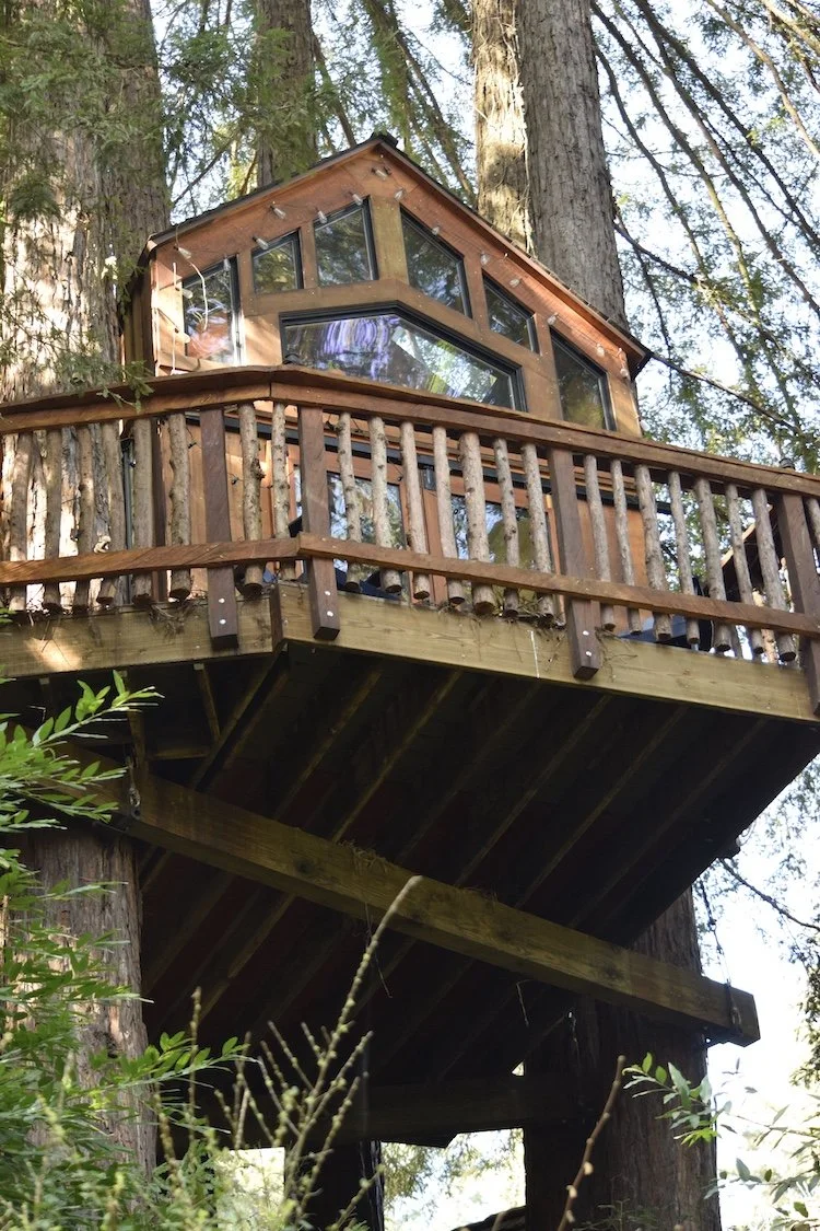 #1493 Park Drive DSC0986.JPG