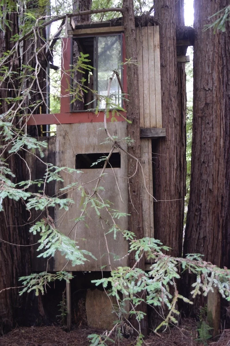 #1508 Dry Well Road  DSC1238.JPG