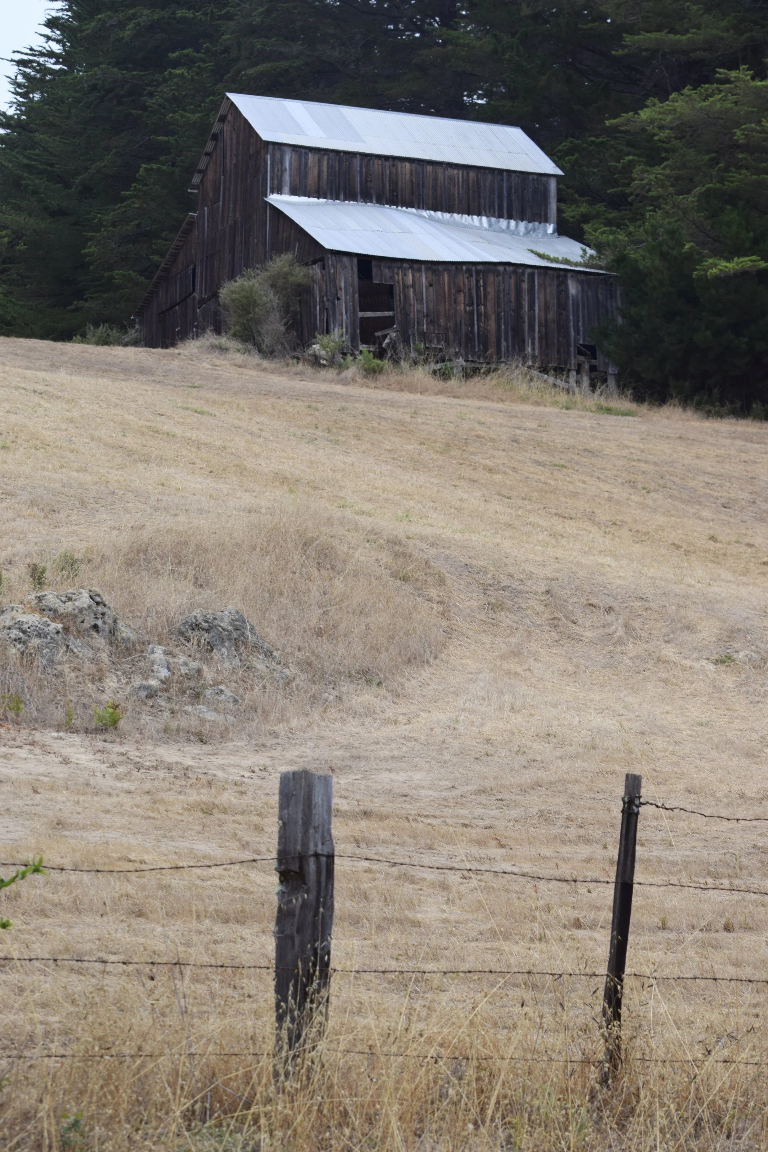 DSC_0124.JPG