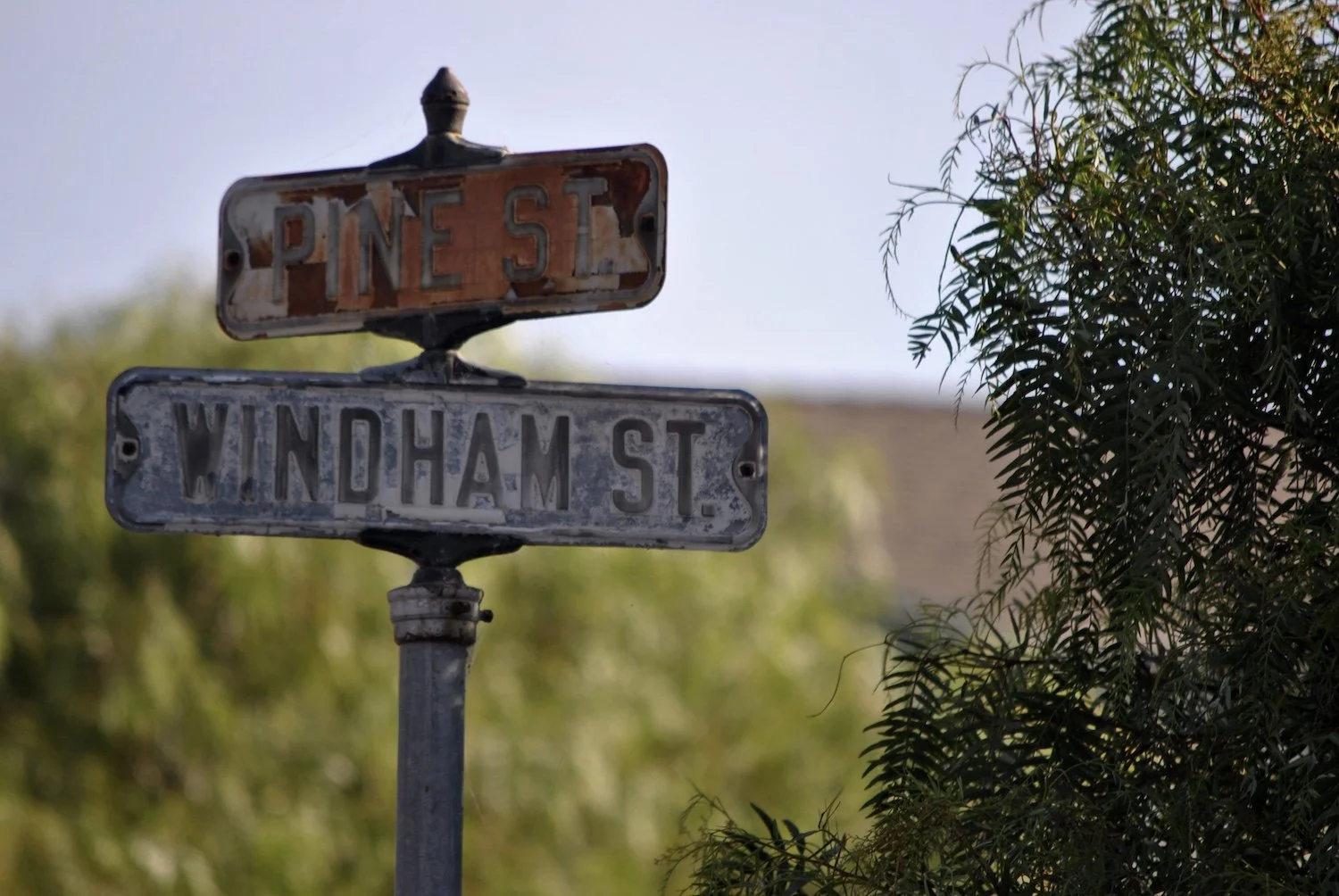 DSC_0736.JPG Pine St. #463.JPG