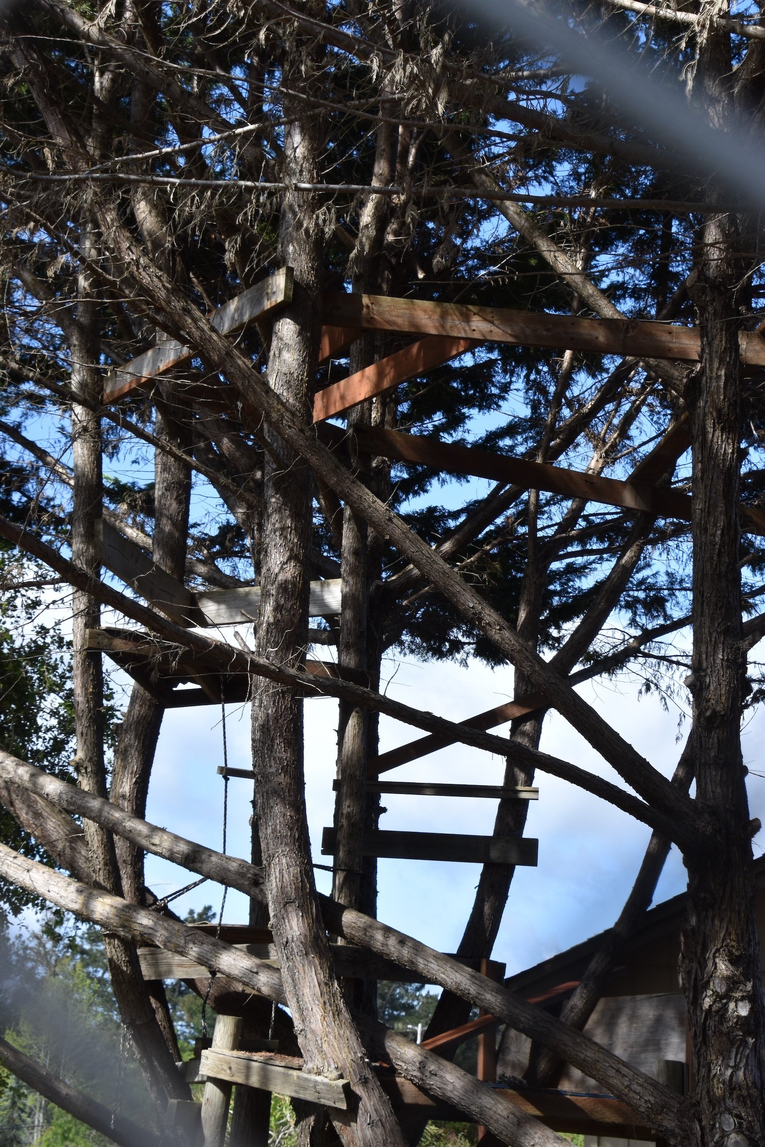 #2575 Lou's Court DSC_0057.JPG