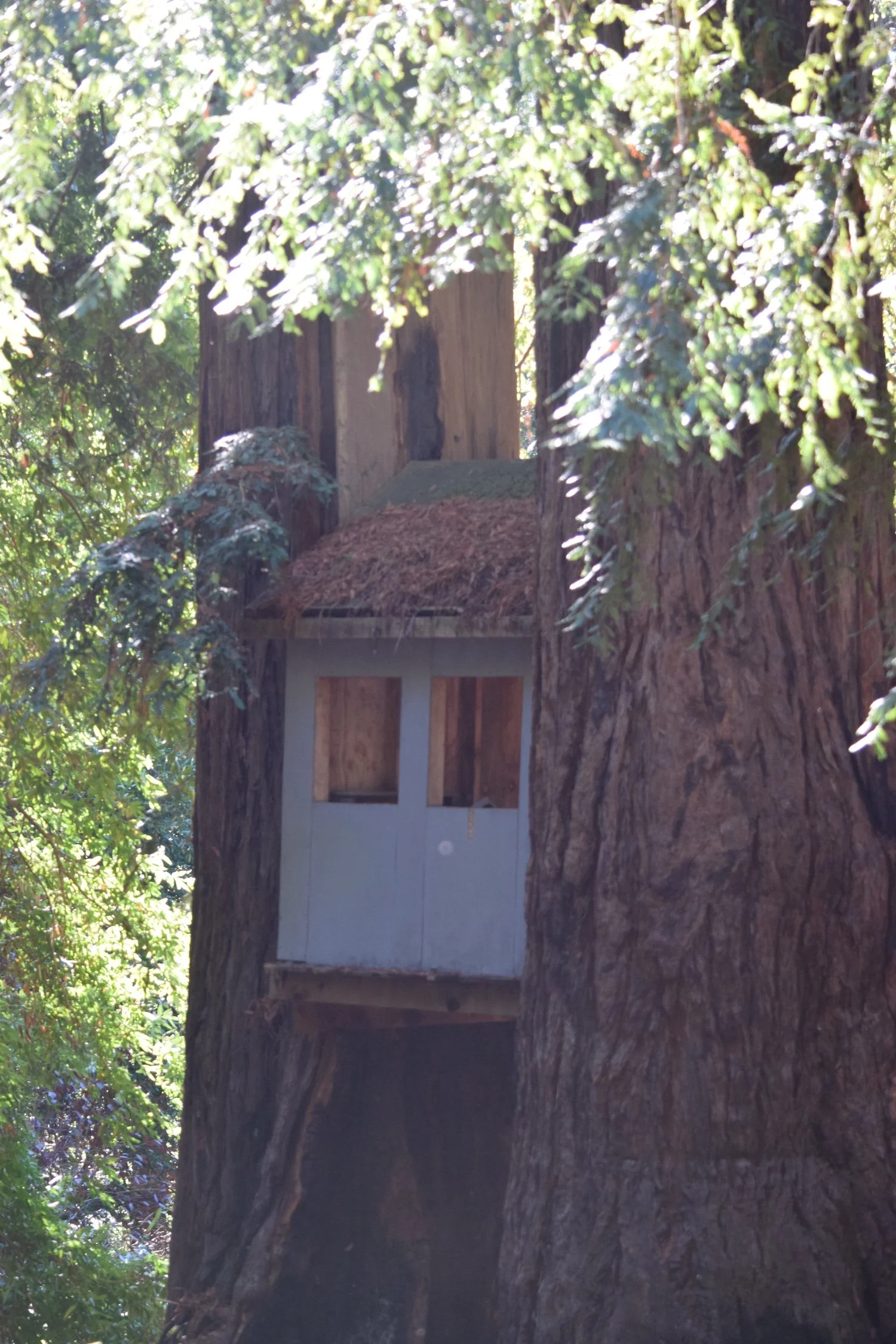 #2203 Timber Lodge Road DSC_1961.JPG