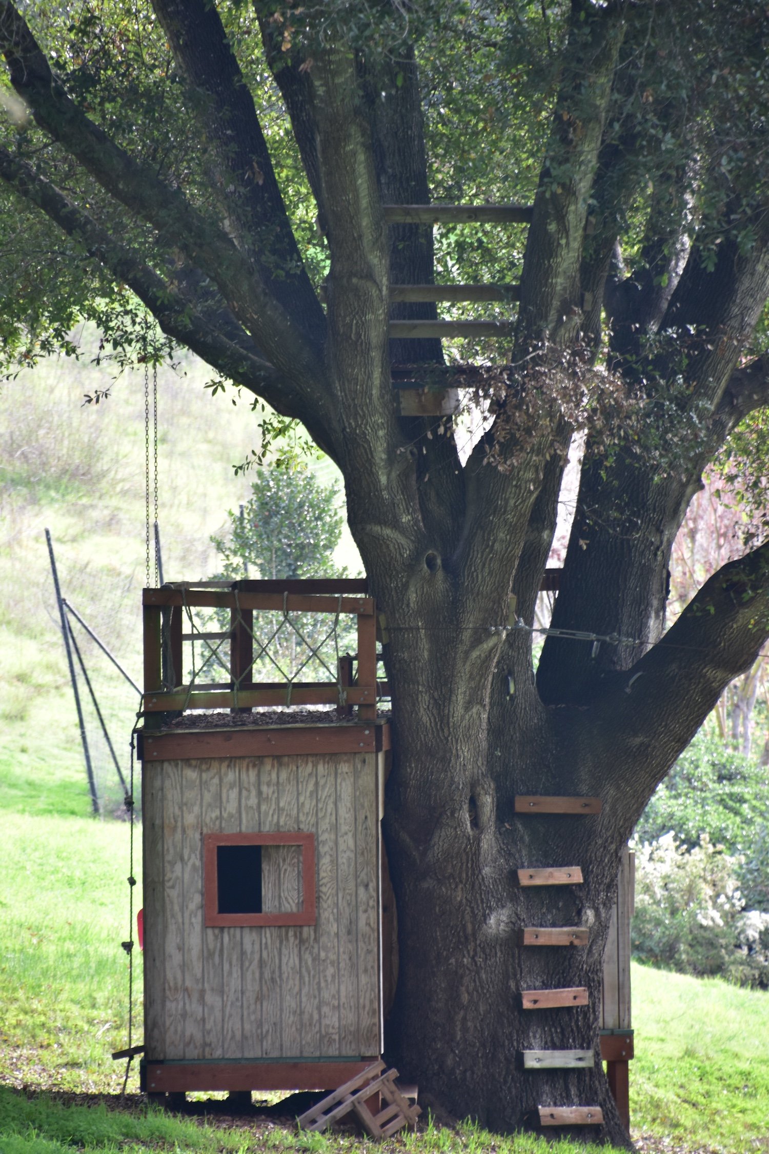 #2289 Dana Lane DSC_0456.JPG