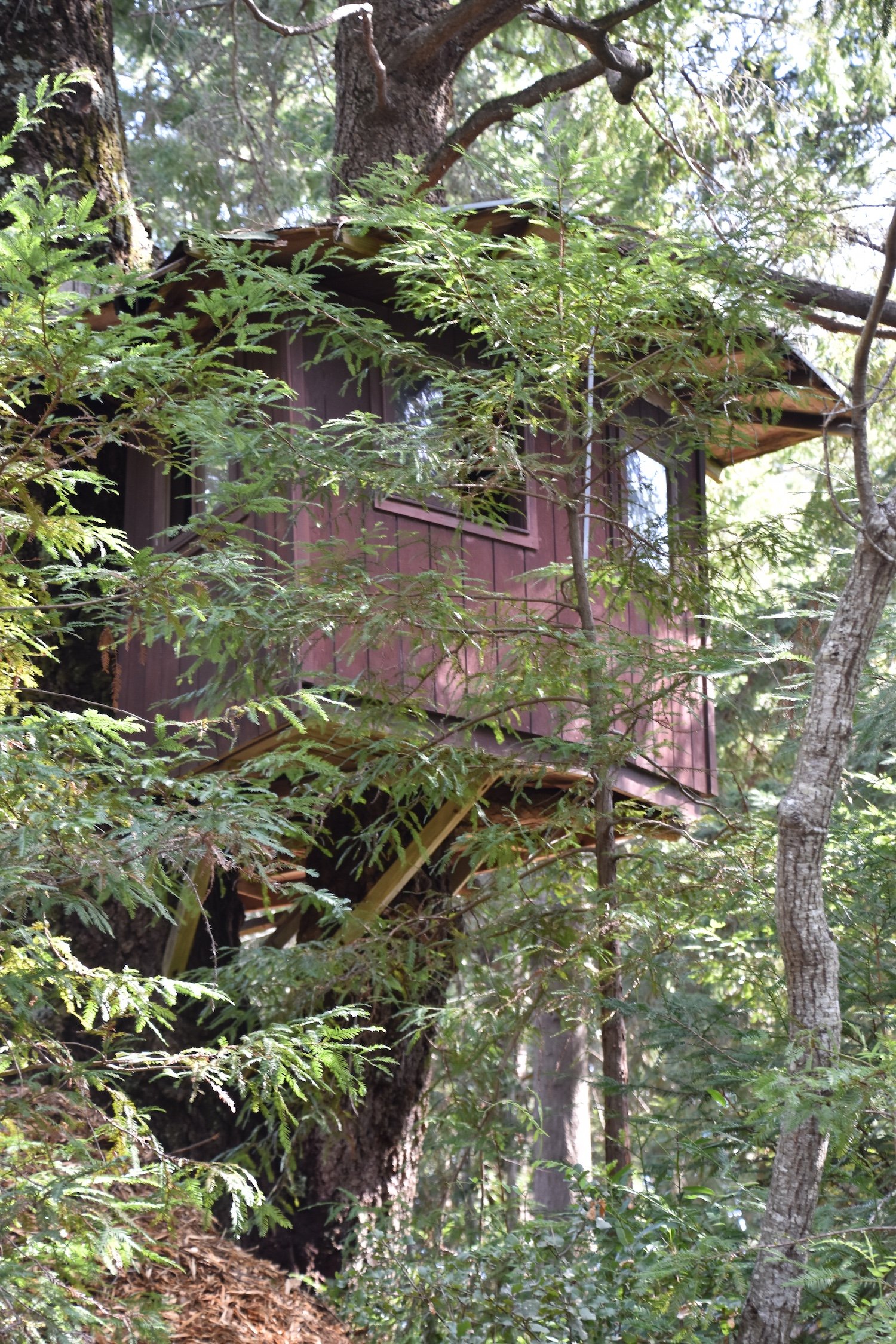 #2508 Oneto Way DSC_0302.JPG