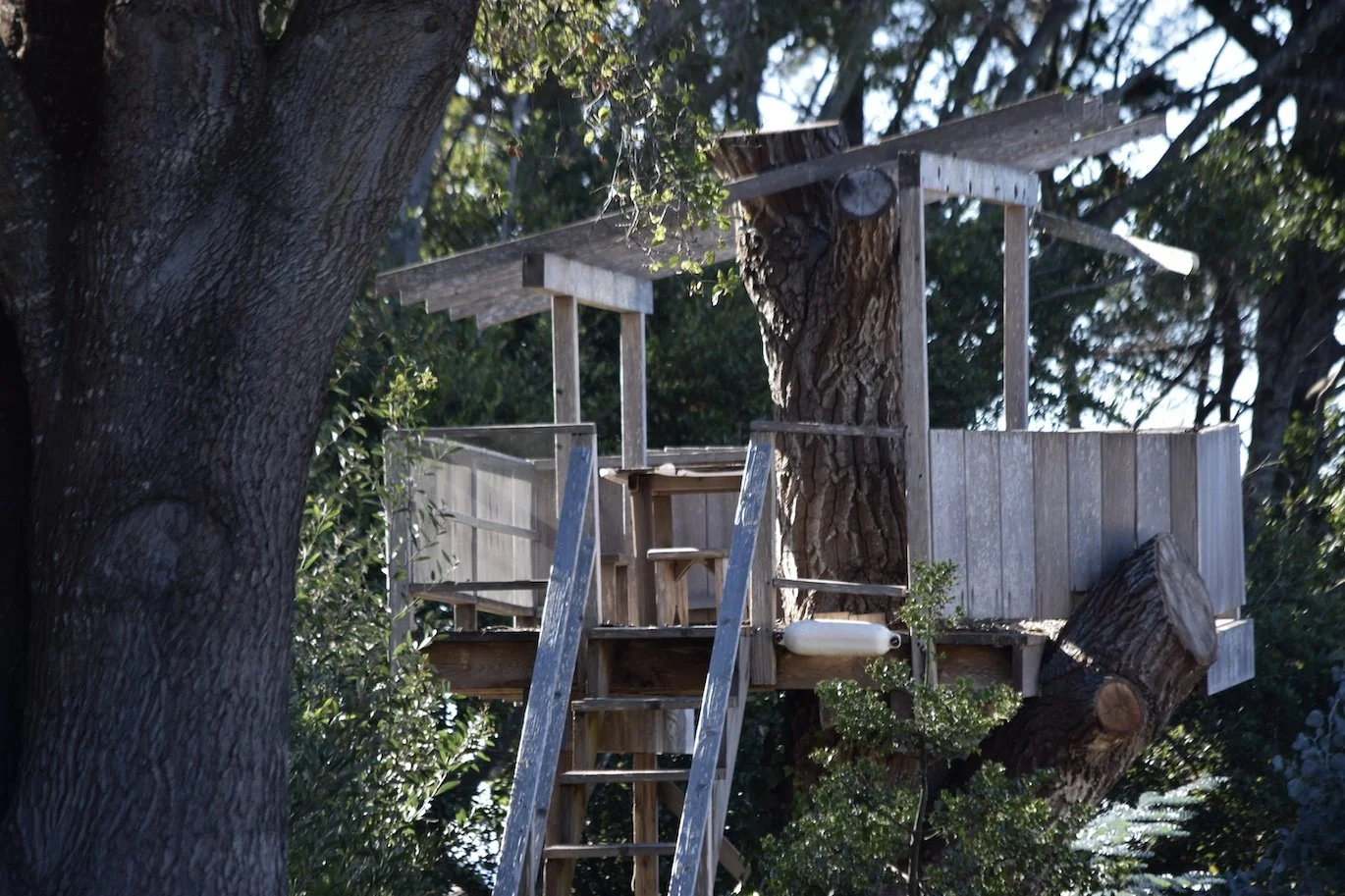 #2207 Osprey Lane 2 DSC_0840.JPG