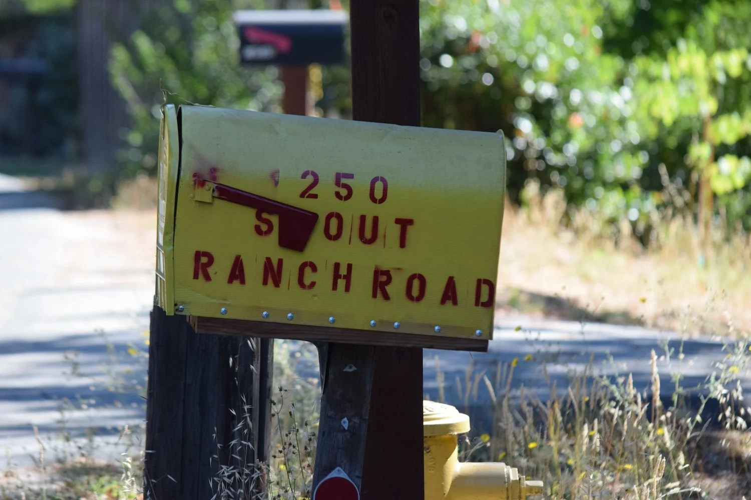 #2060 Scout Ranch Road DSC_0471.JPG