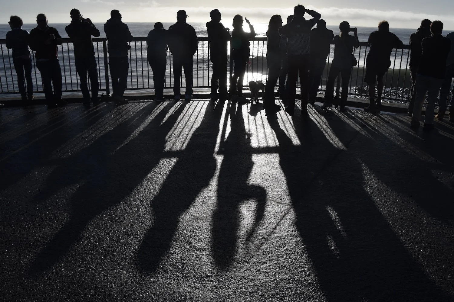 DSC_0627 8.33.45 PM.JPG