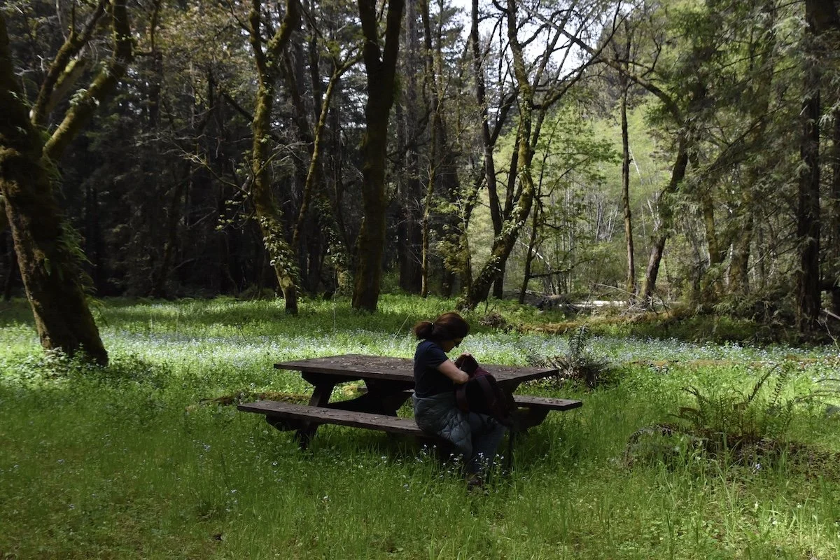 #2559 Hihn Road DSC_0160.JPG