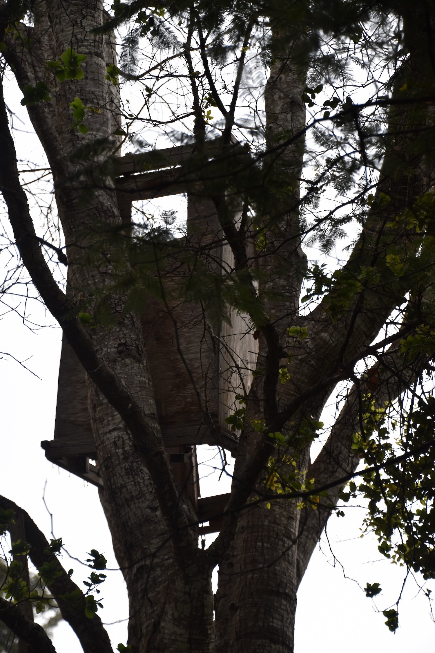 #2557 Lynette Drive DSC_0261.JPG