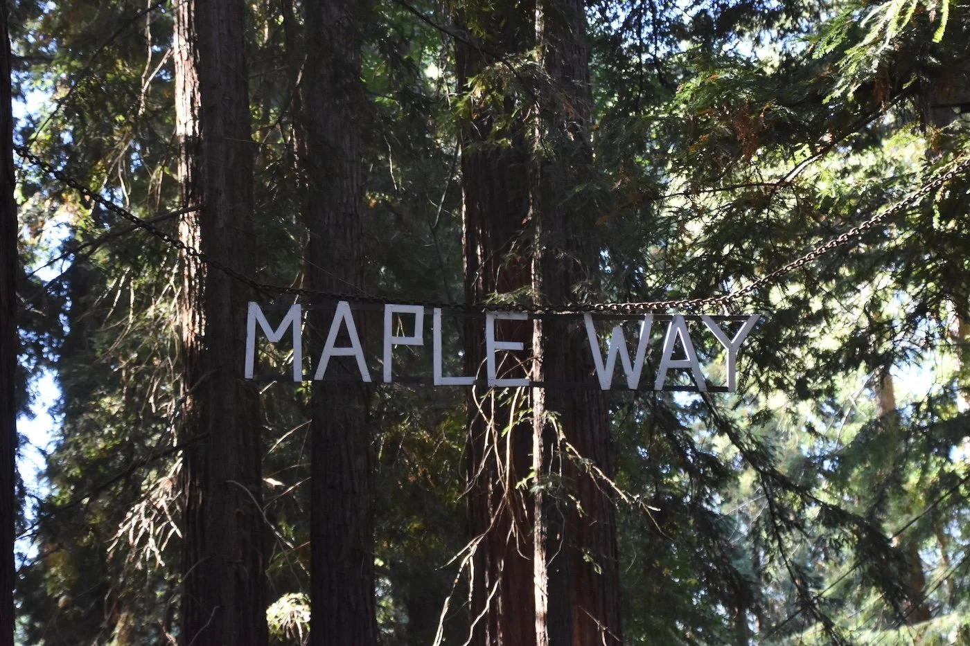 #2837 Maple Way DSC_0584.JPG