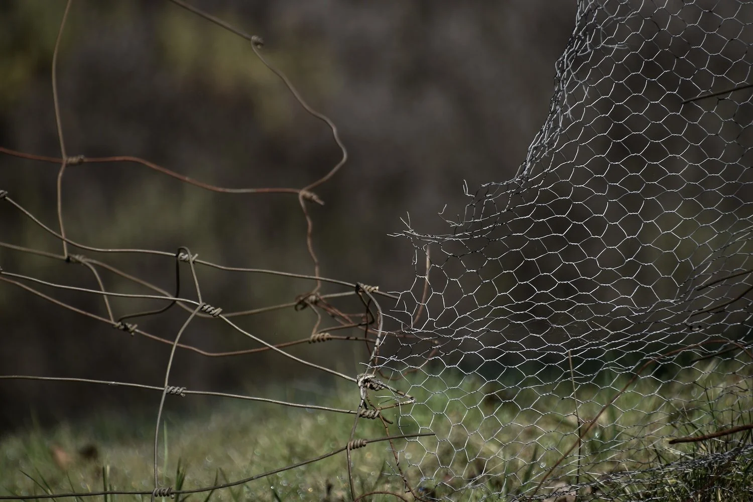 #2352 Buck Knoll Drive DSC_2983.JPG