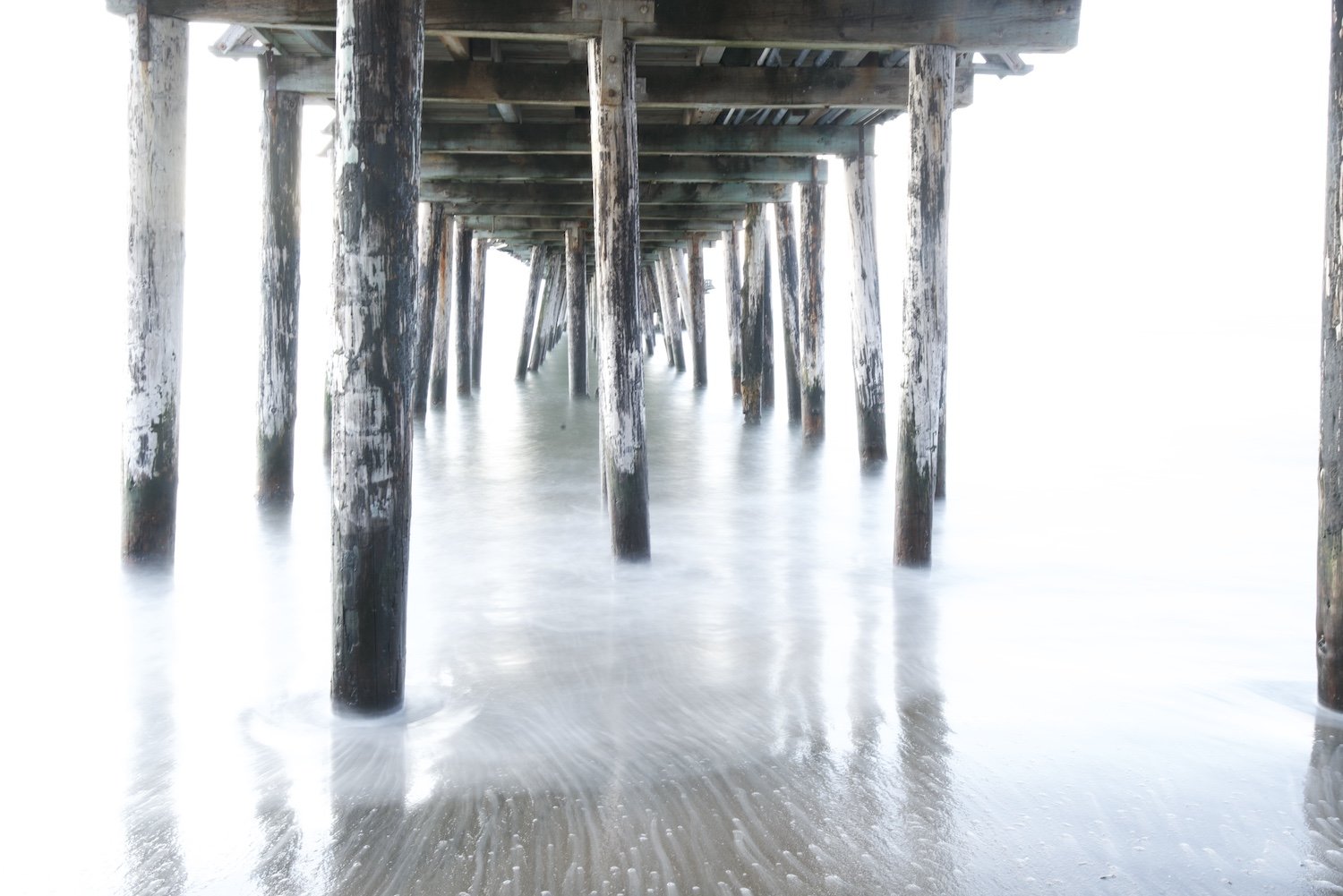 DSC_4992.jpeg