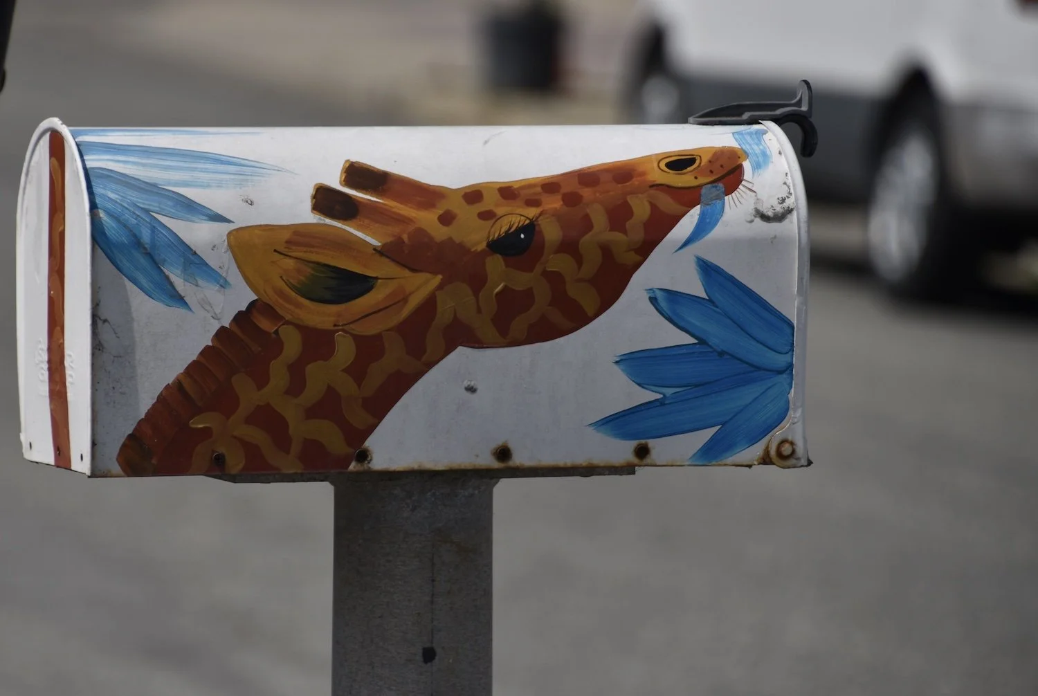 #2480 Fletcher Court DSC_0527.JPG