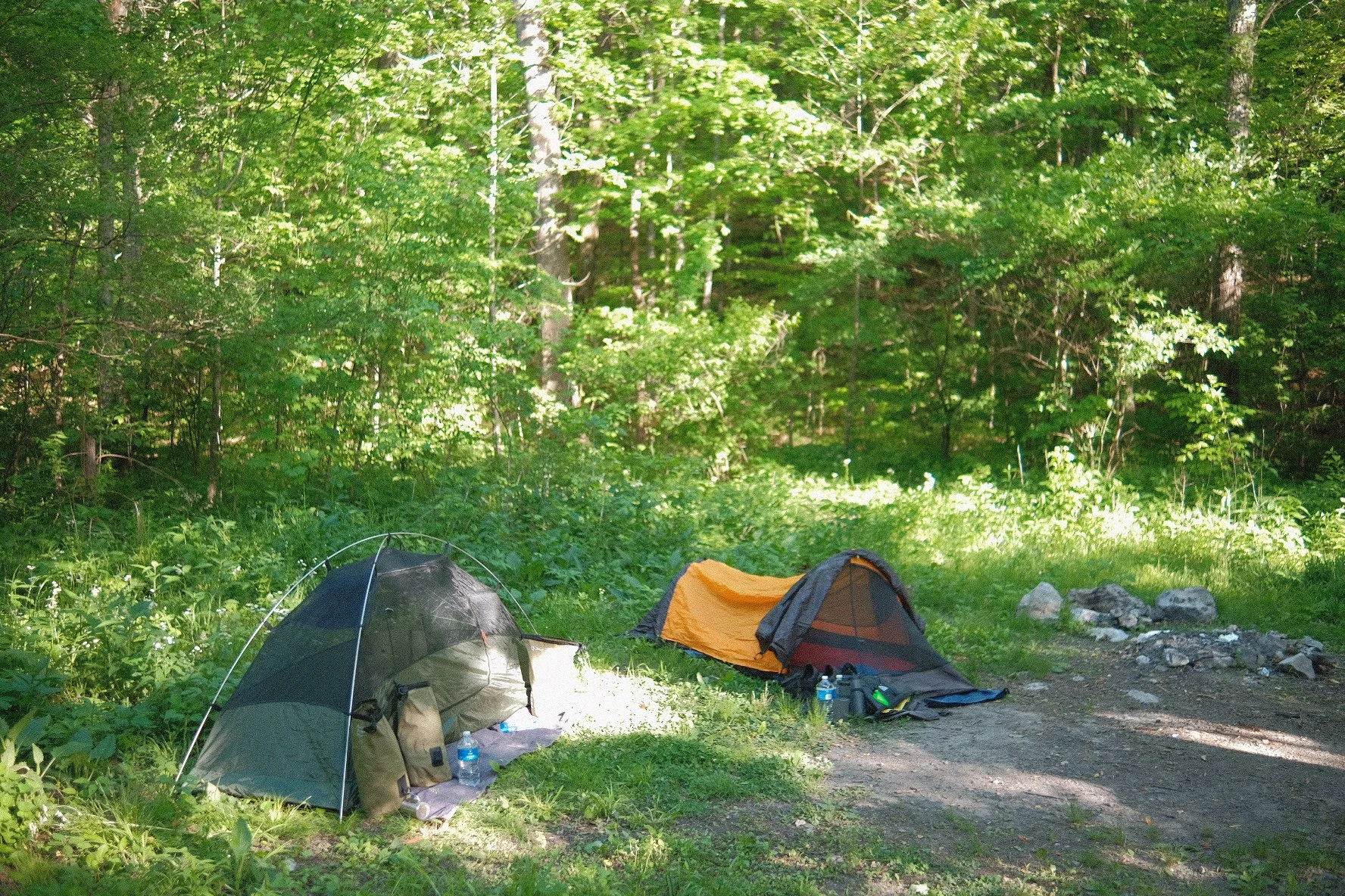 Two tents set up in a lush green forest clearing with rocks and camping gear nearby.