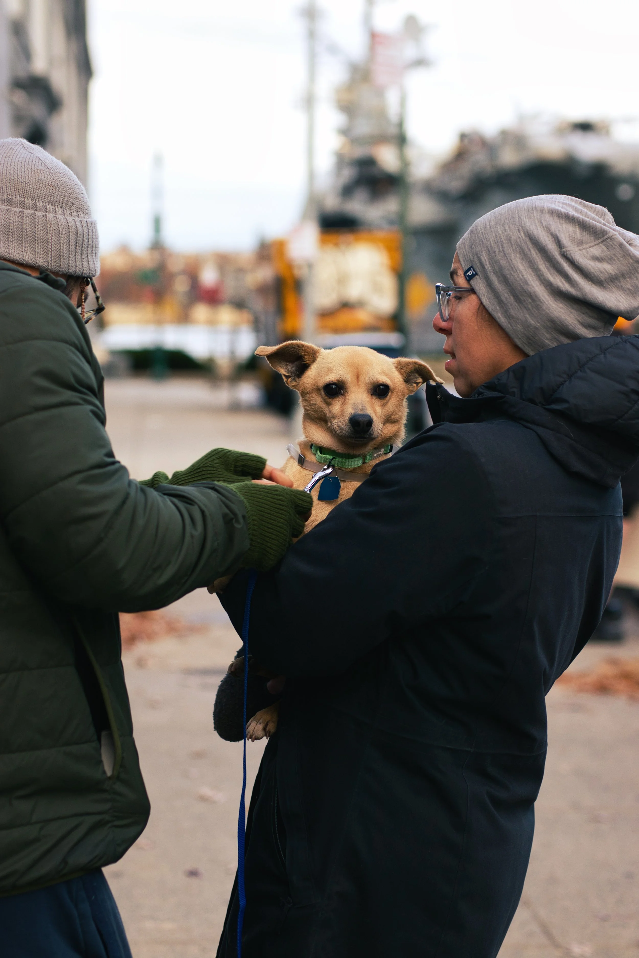 Union Square Adoption Event