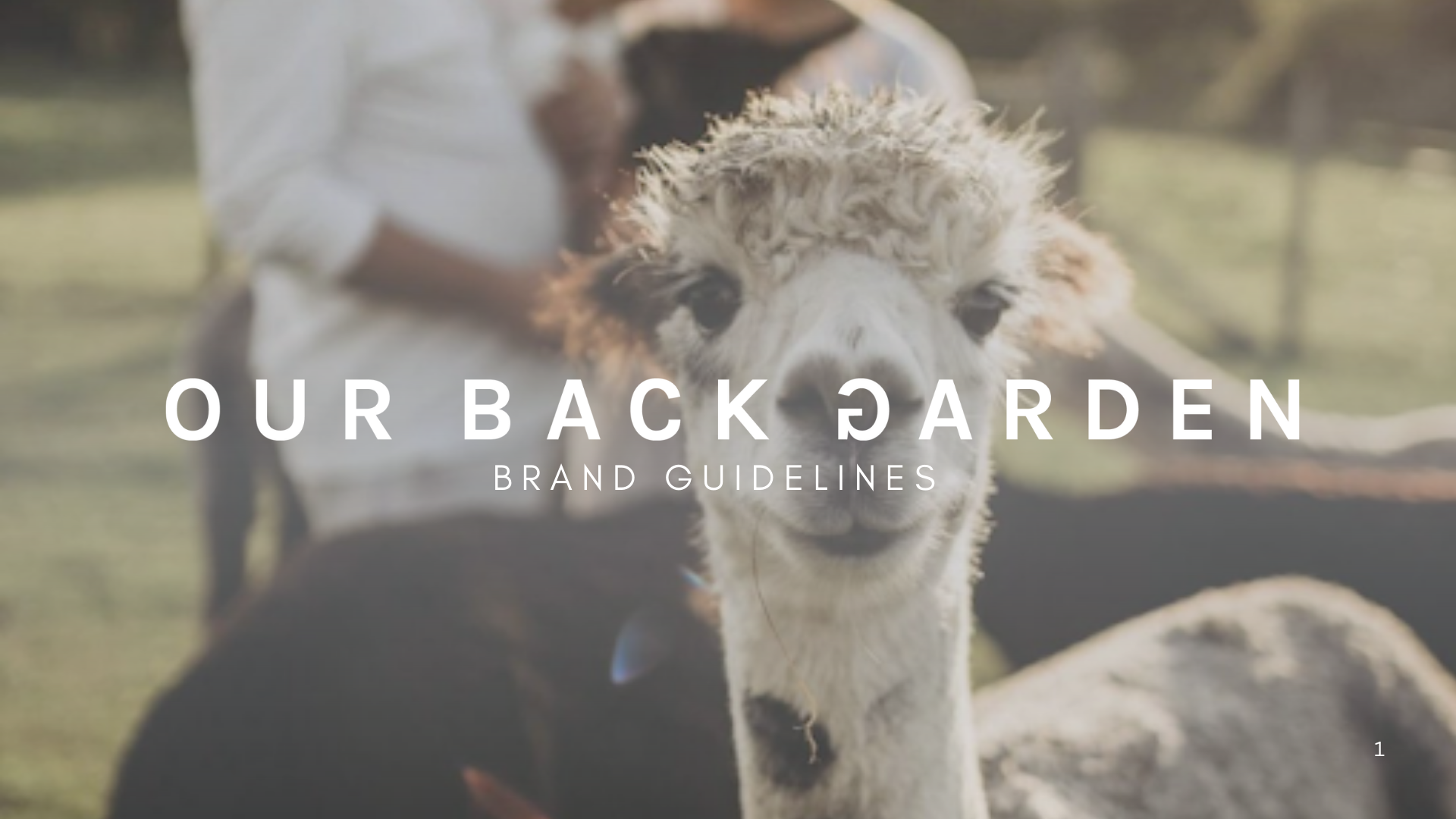 OBG Brand Guidelines V1 .png