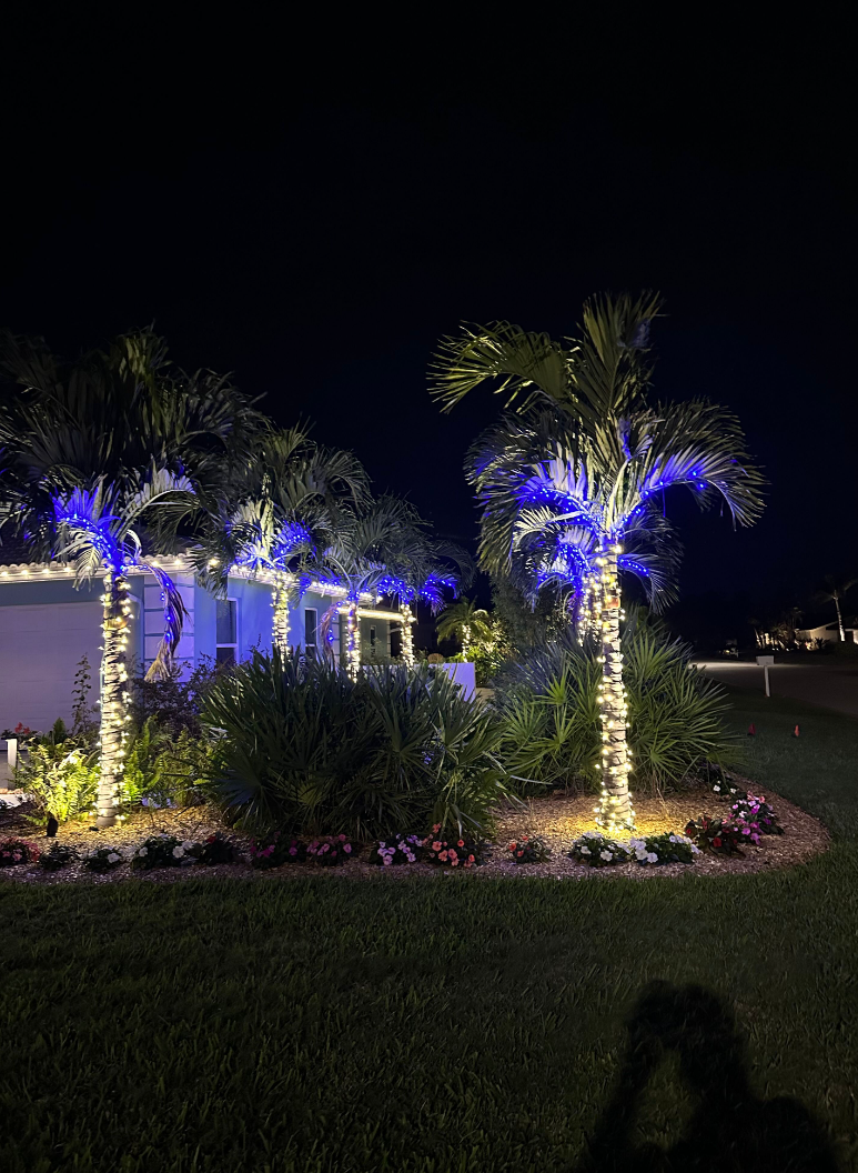 Sarasota Christmas Lighting - Sarasota Lighting experts 