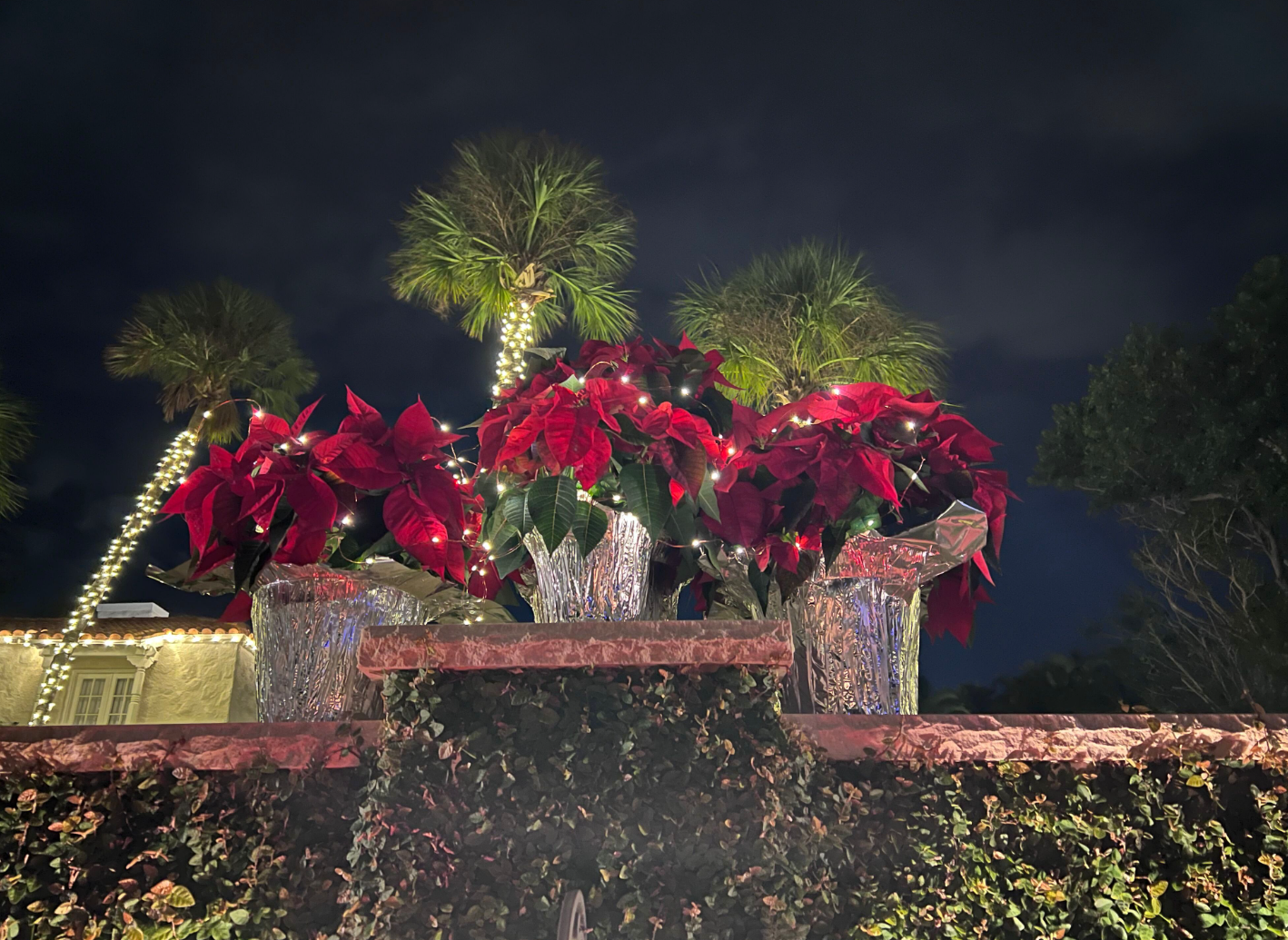 Sarasota Christmas Lighting - Sarasota Lighting experts 
