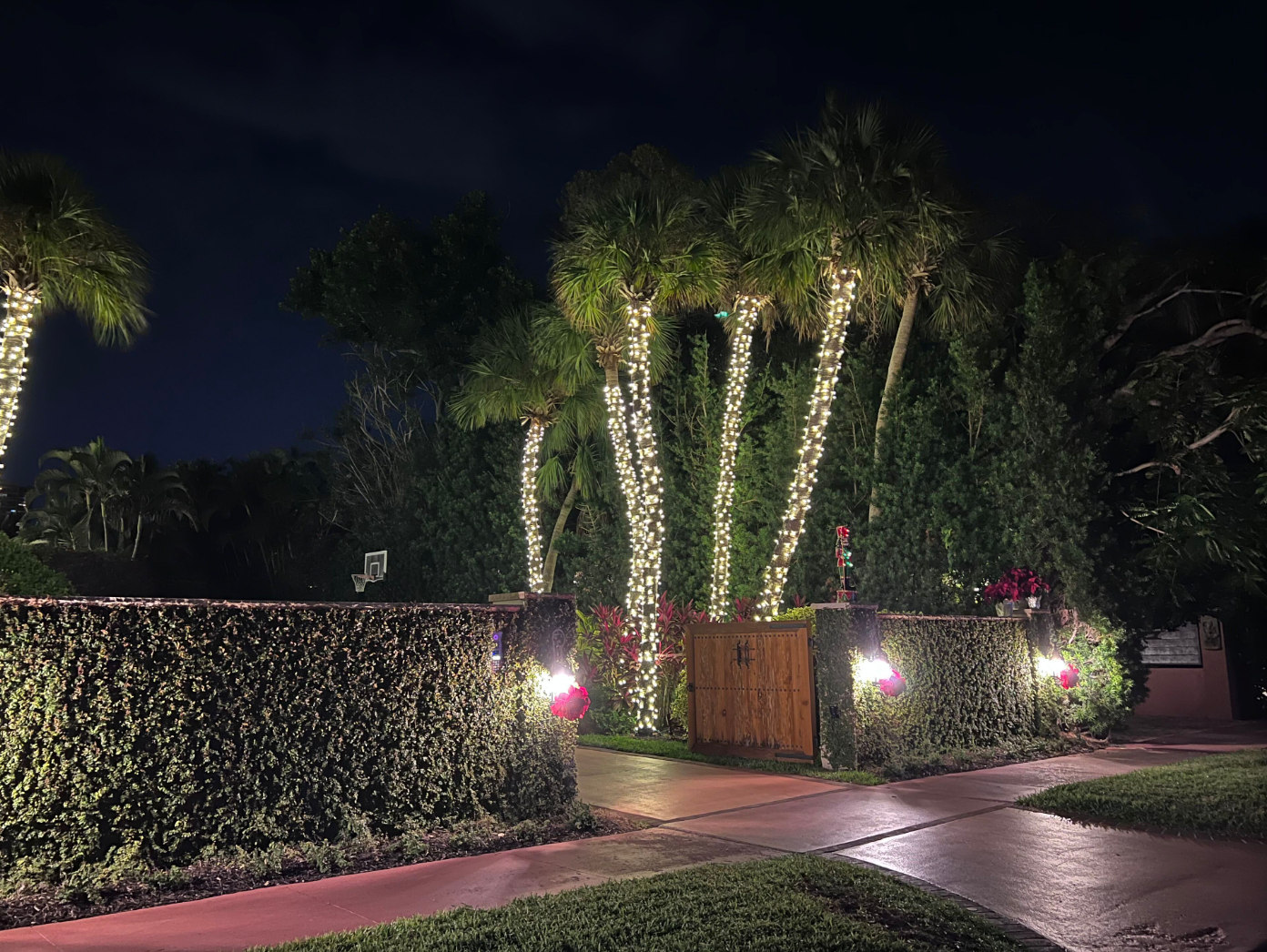 Sarasota Christmas Lighting - Sarasota Lighting experts 