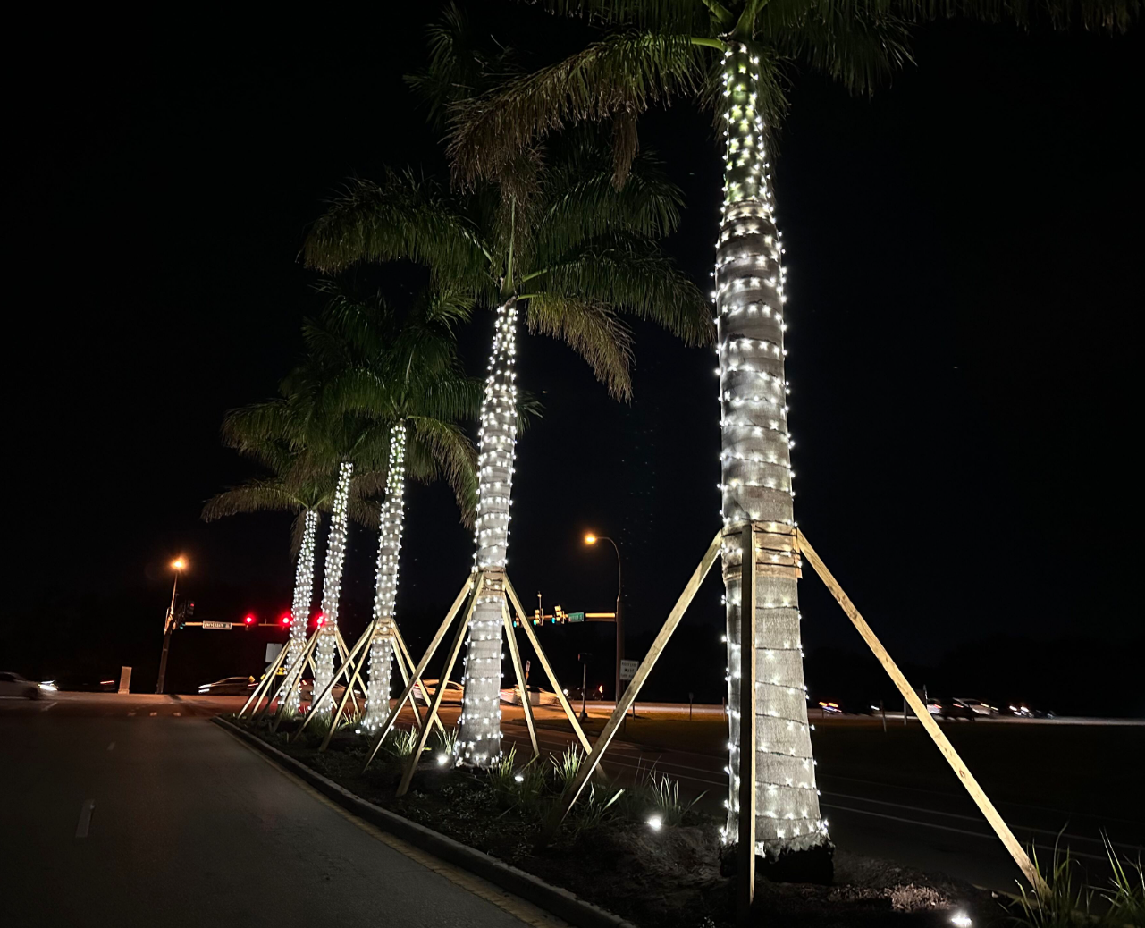 Sarasota Christmas Lighting - Sarasota Lighting experts 