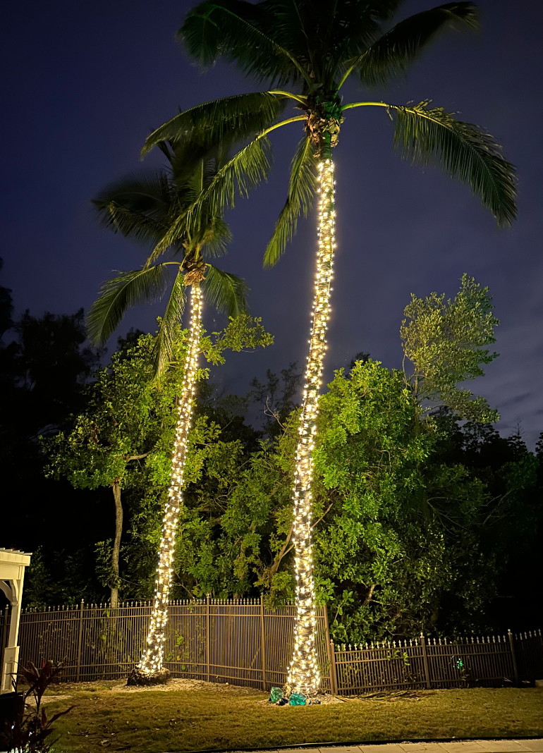 Sarasota Christmas Lighting - Sarasota Lighting experts 