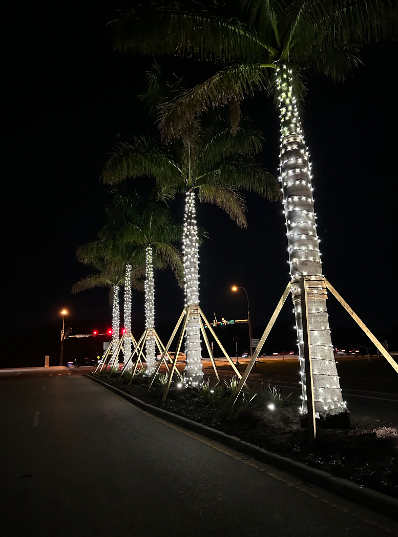 Sarasota Christmas Lighting - Sarasota Lighting experts 