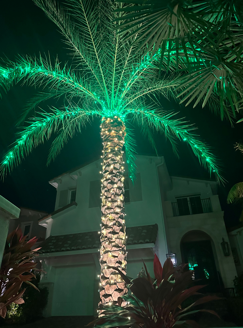 Sarasota Christmas Lighting - Sarasota Lighting experts 