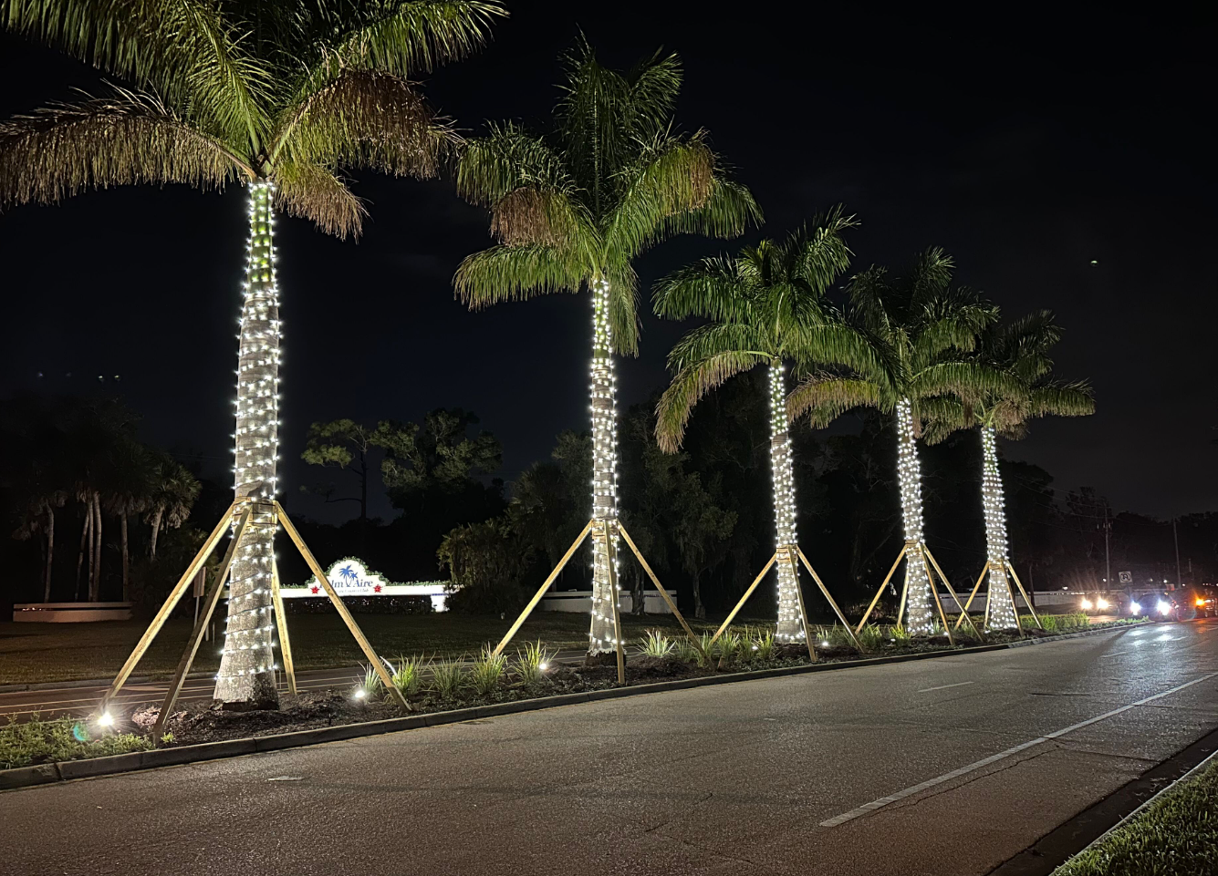 Sarasota Christmas Lighting - Sarasota Lighting experts 