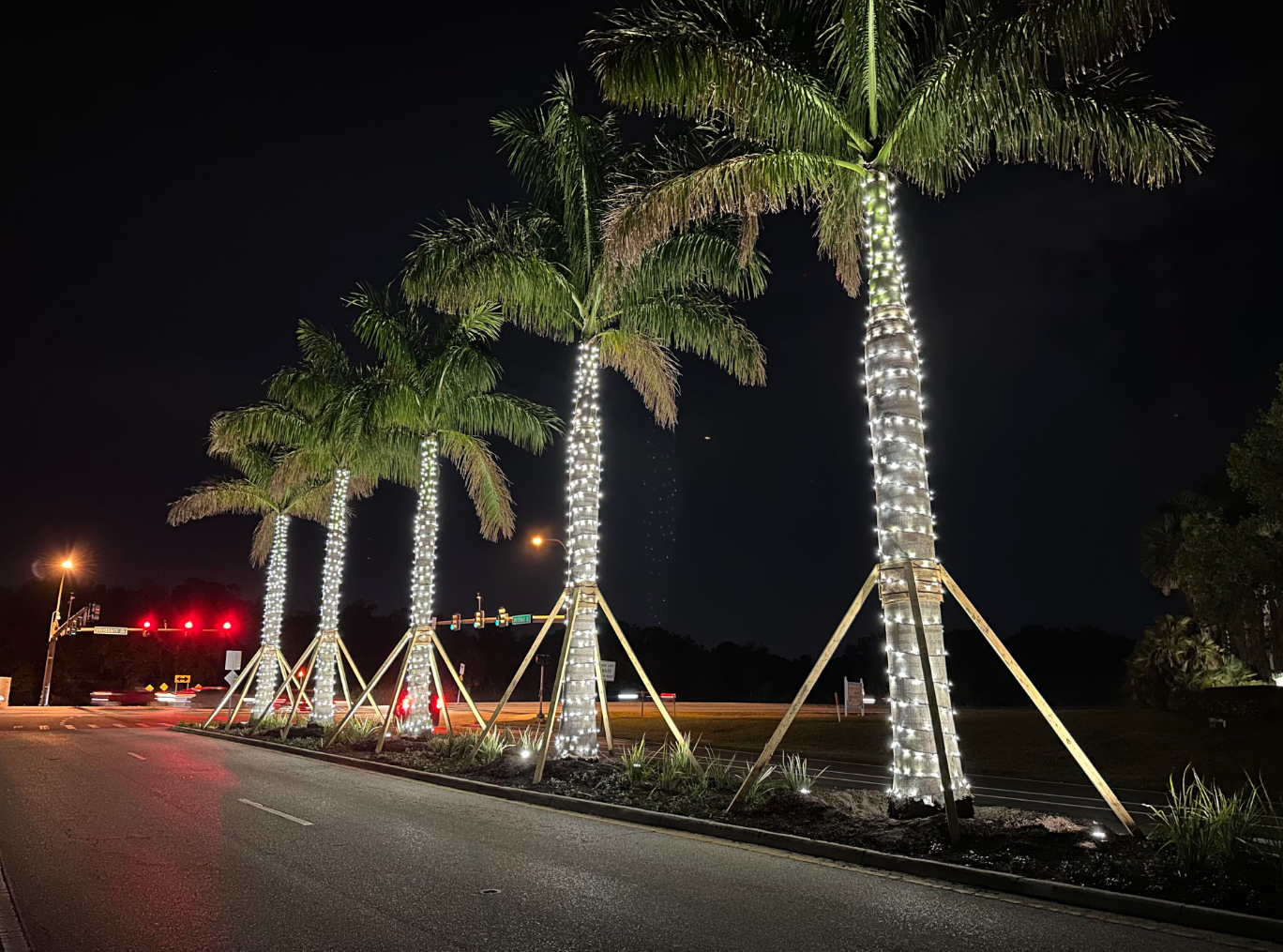 Sarasota Christmas Lighting - Sarasota Lighting experts 