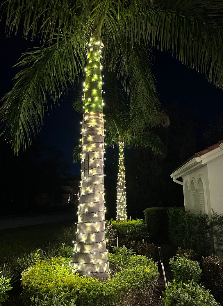 Sarasota Christmas Lighting - Sarasota Lighting experts 