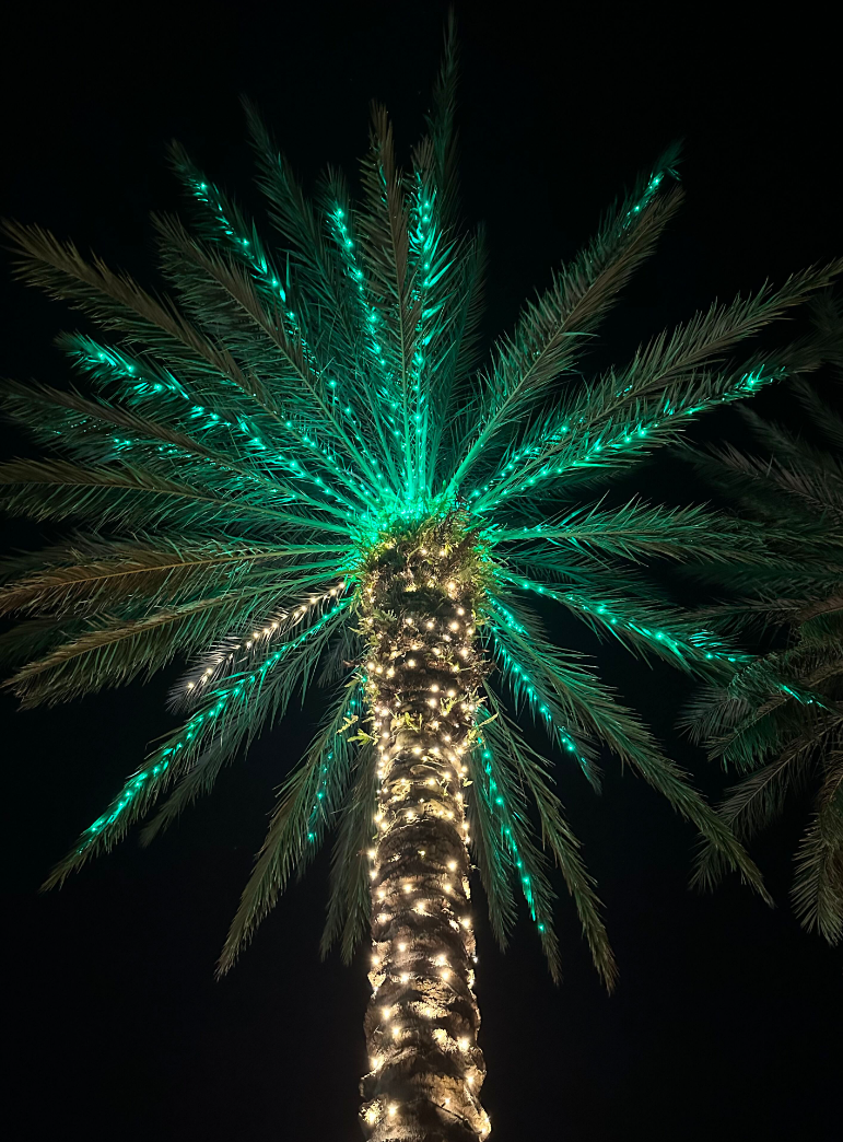 Sarasota Christmas Lighting - Sarasota Lighting experts - Restaurant Lighting, Airport lighting