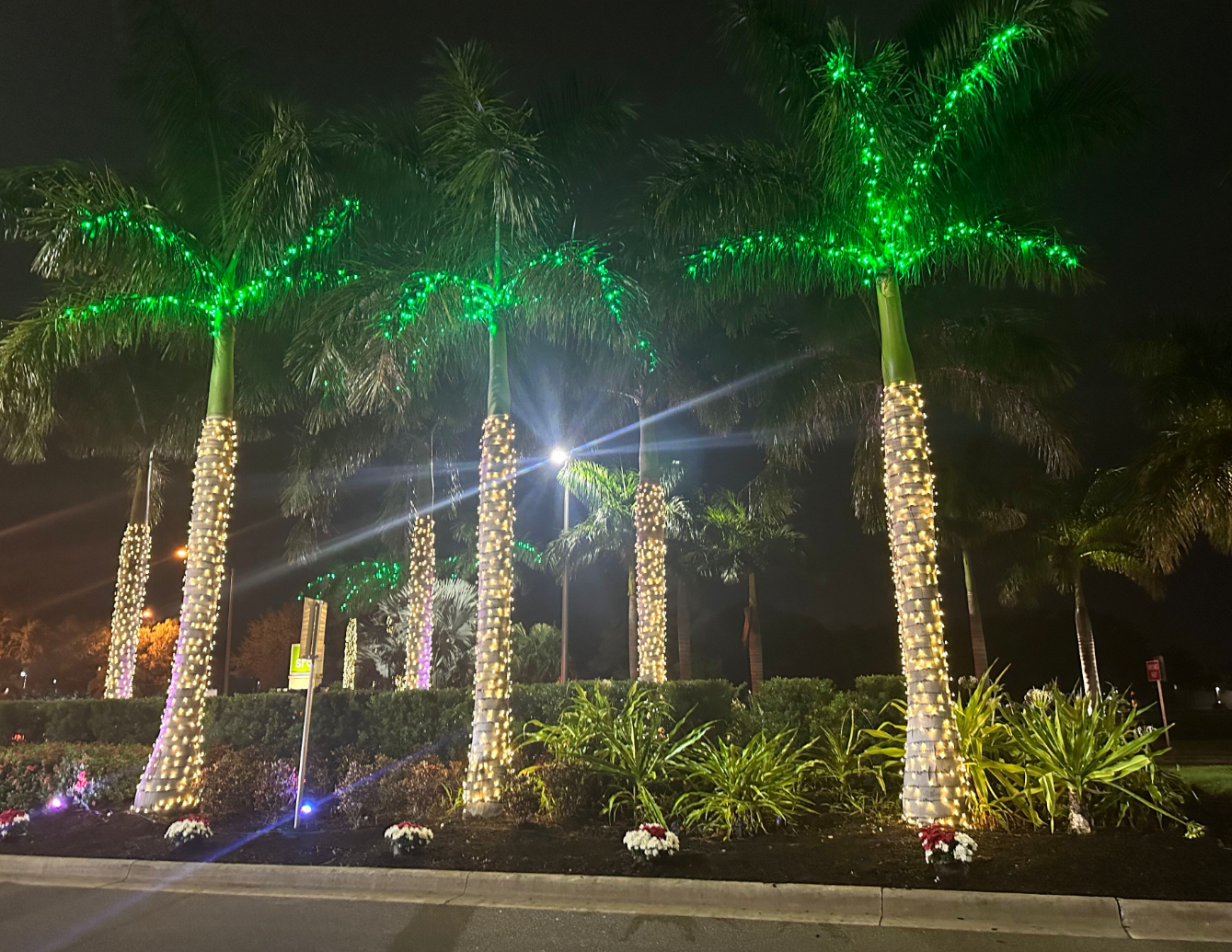 Sarasota Christmas Lighting - Sarasota Lighting experts