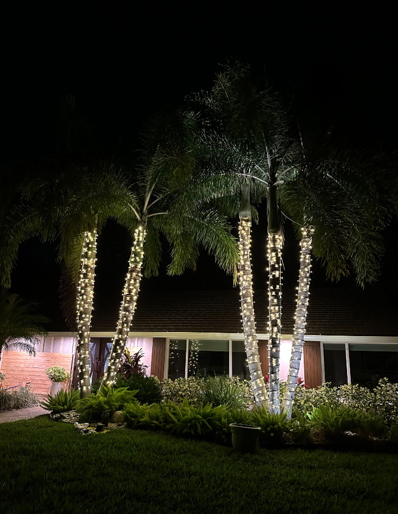 Sarasota Christmas Lighting - Sarasota Lighting experts