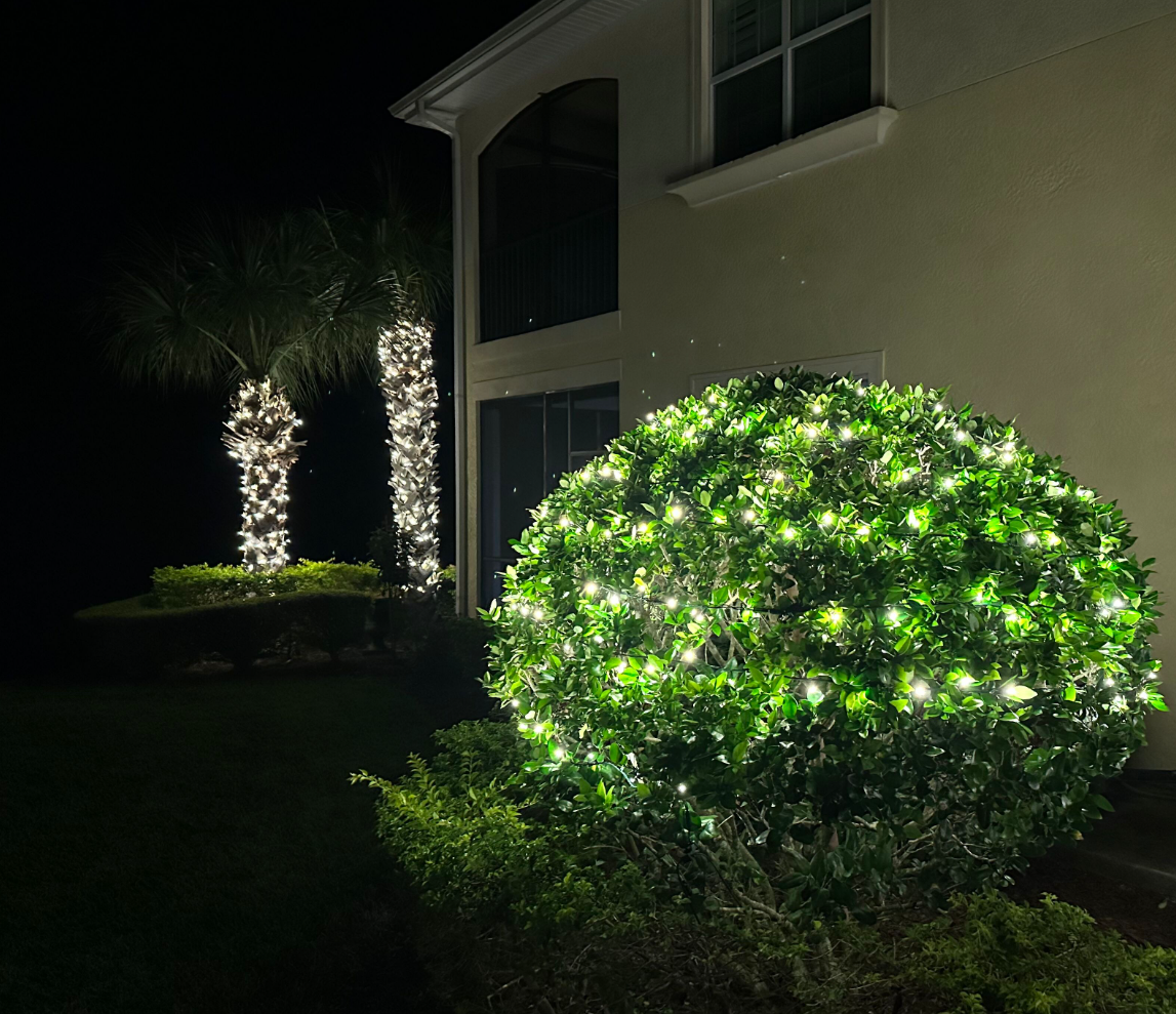 Sarasota Christmas Lighting