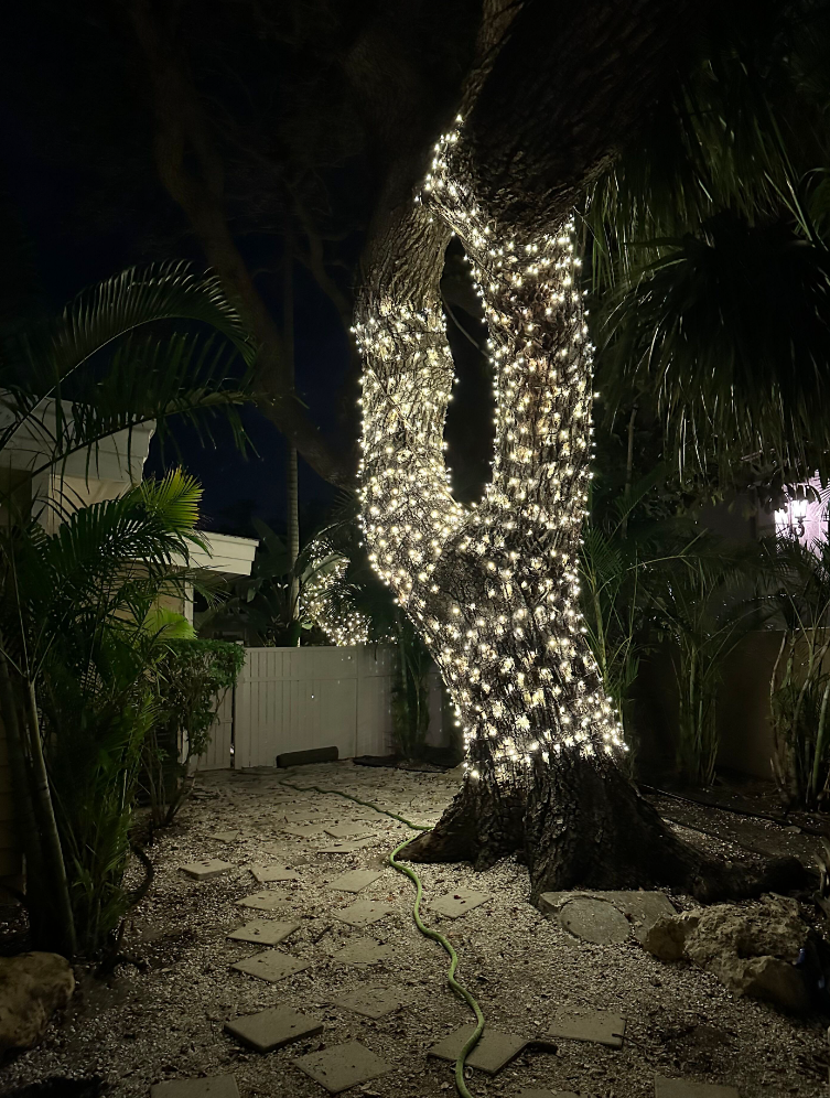 Sarasota Christmas Lighting