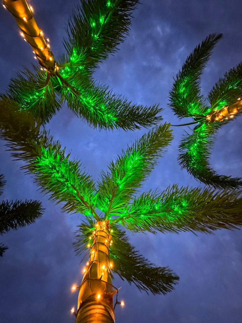 Sarasota Christmas Lighting