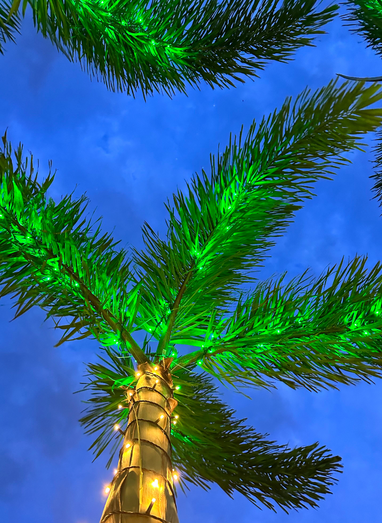 Sarasota Christmas Lighting