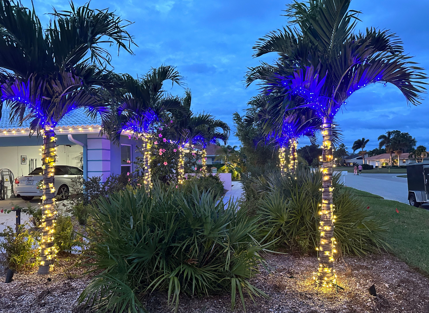 Sarasota Christmas Lighting