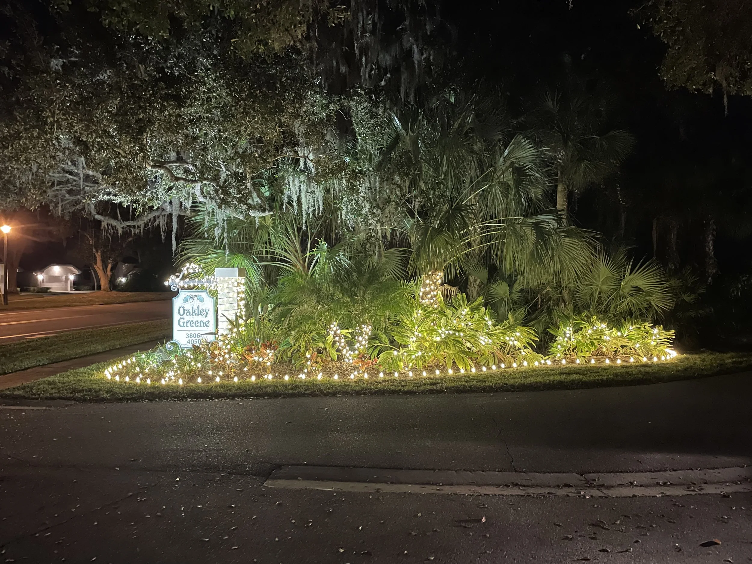 Sarasota Holiday Lighting - Lighting experts in Sarasota Florida  - Roofline, Palm tree and house Lighting
