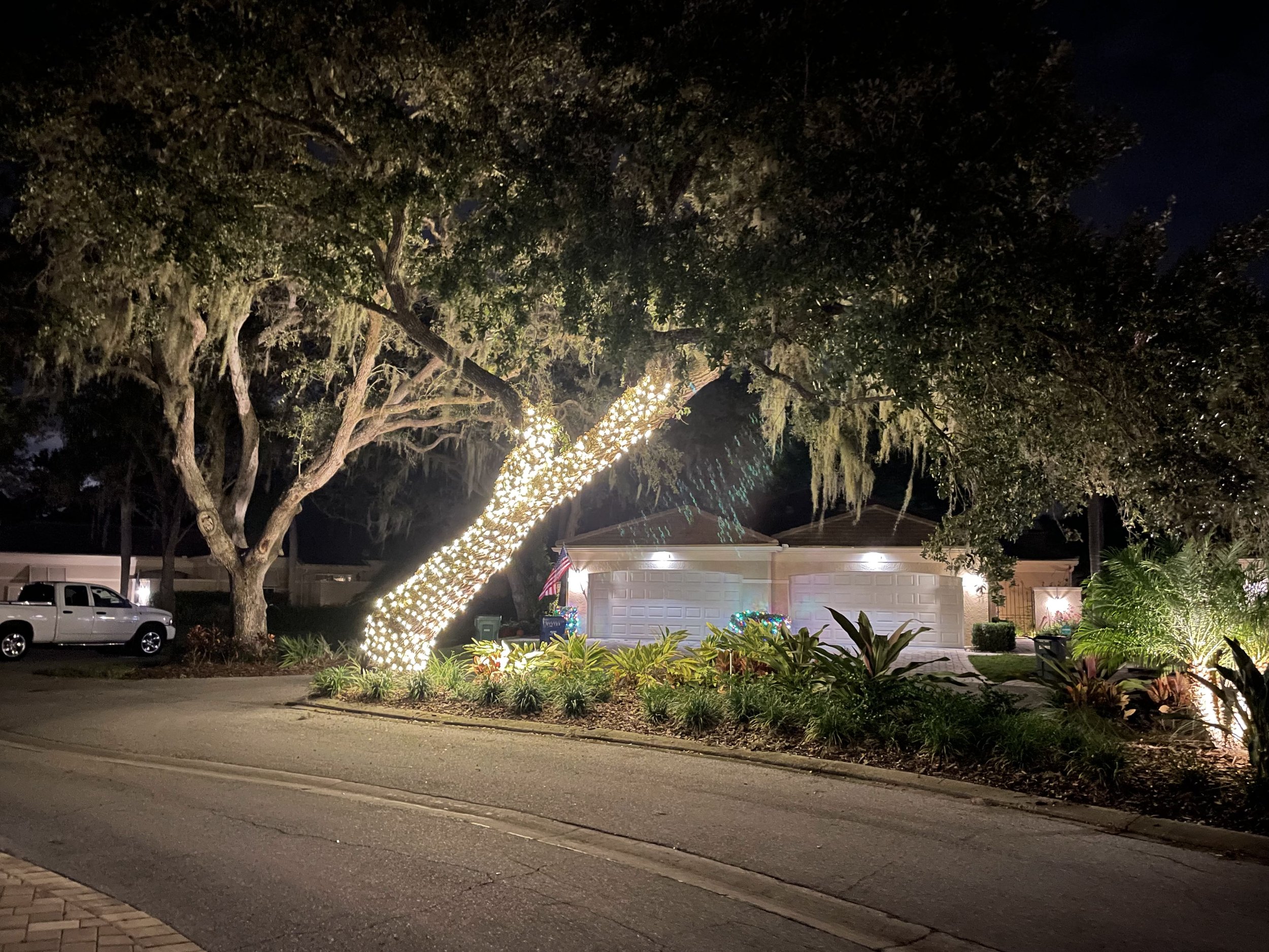 Sarasota Holiday Lighting - Lighting experts in Sarasota Florida  - Roofline, Palm tree and house Lighting