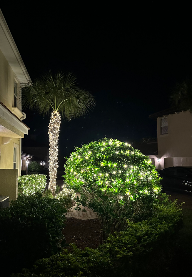 Sarasota Christmas Lighting