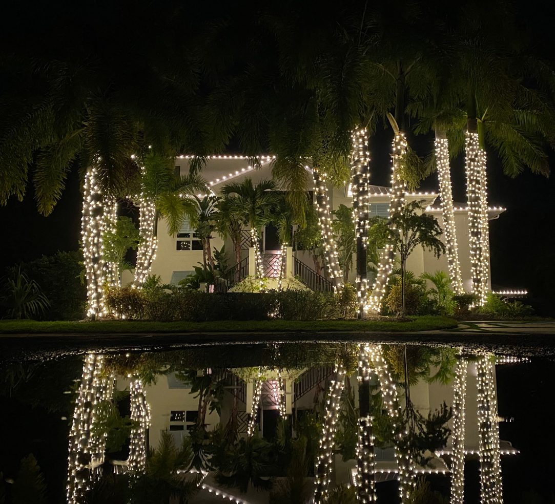 Sarasota Holiday Lighting - Lighting experts in Sarasota Florida  - Roofline, Palm tree and house Lighting