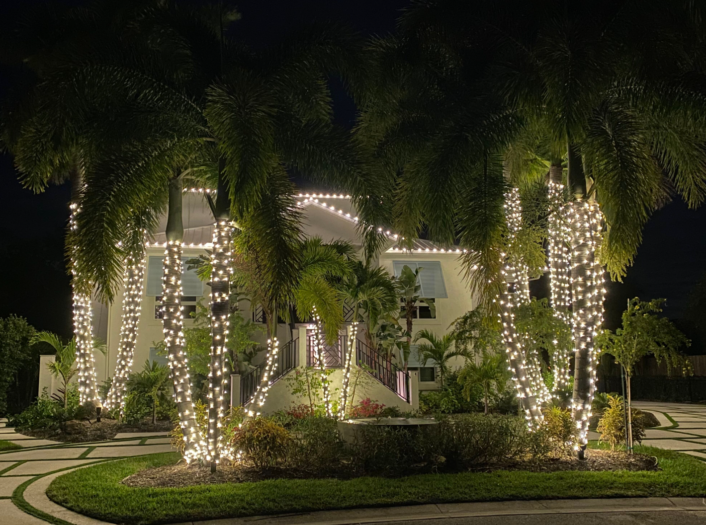 Sarasota Holiday Lighting - Lighting experts in Sarasota Florida  - Roofline, Palm tree and house Lighting