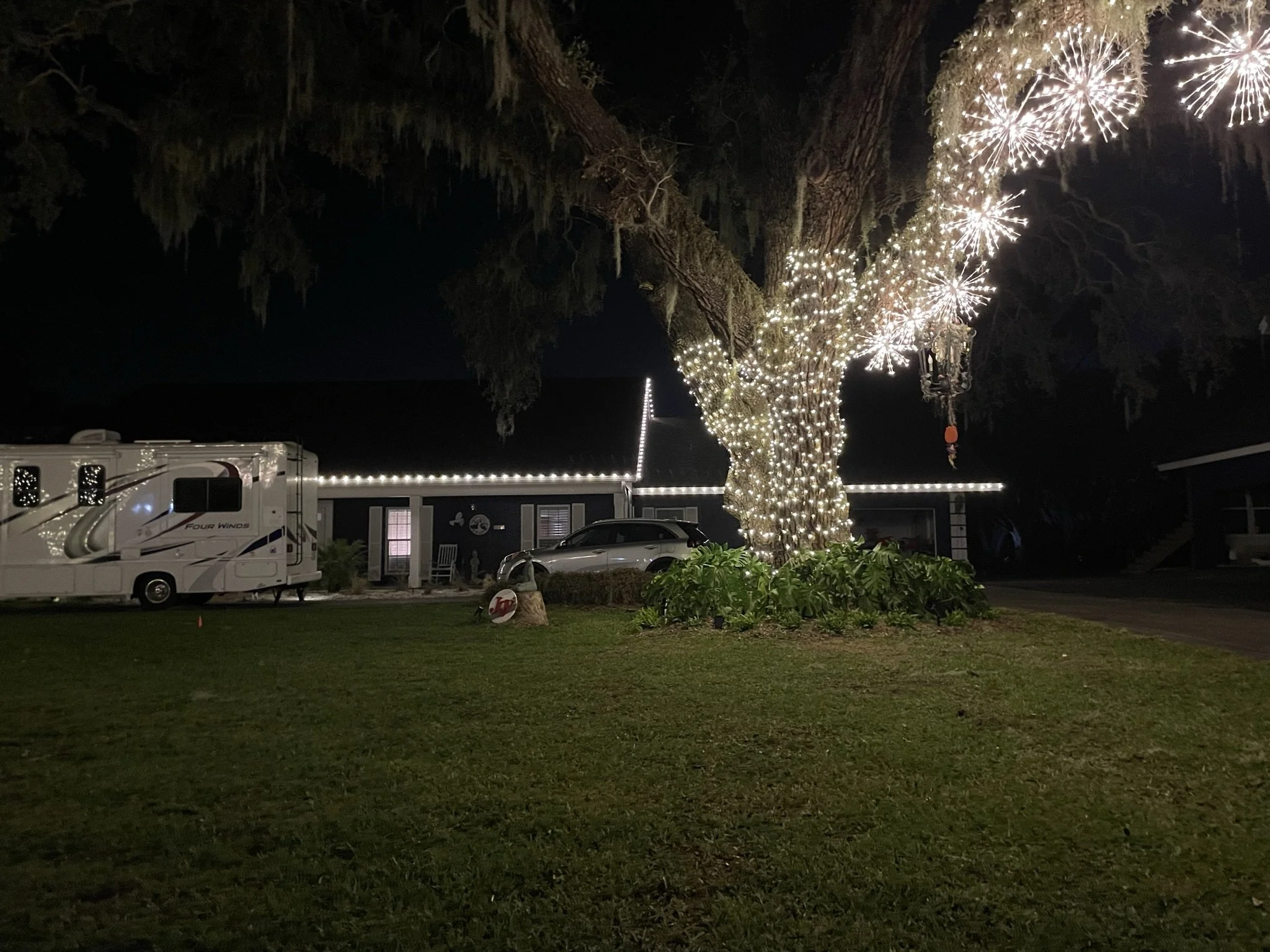 Sarasota Holiday Lighting - Lighting experts in Sarasota Florida  - Roofline, Palm tree and house Lighting