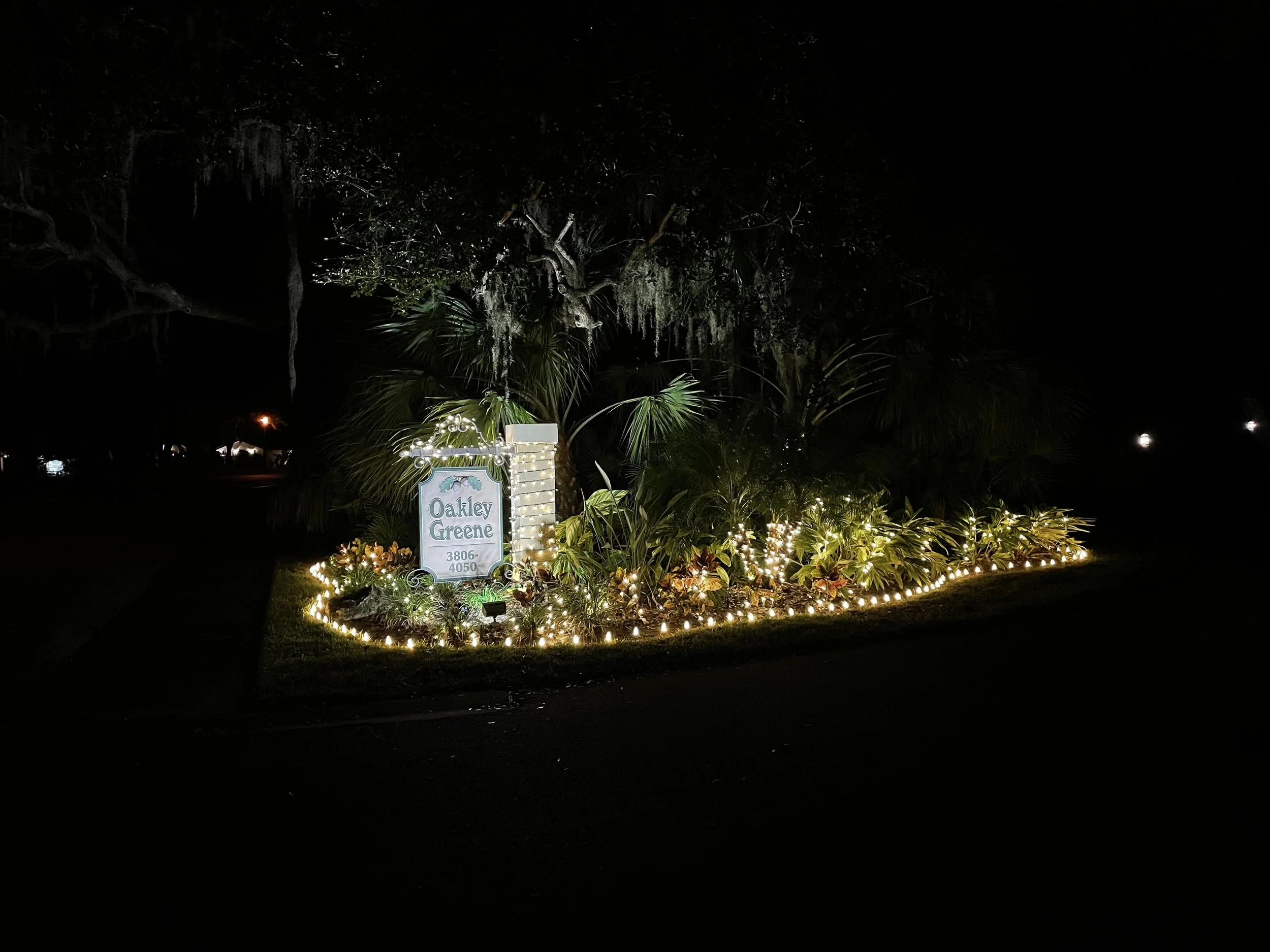 Sarasota Holiday Lighting - Lighting experts in Sarasota Florida  - Roofline, Palm tree and house Lighting