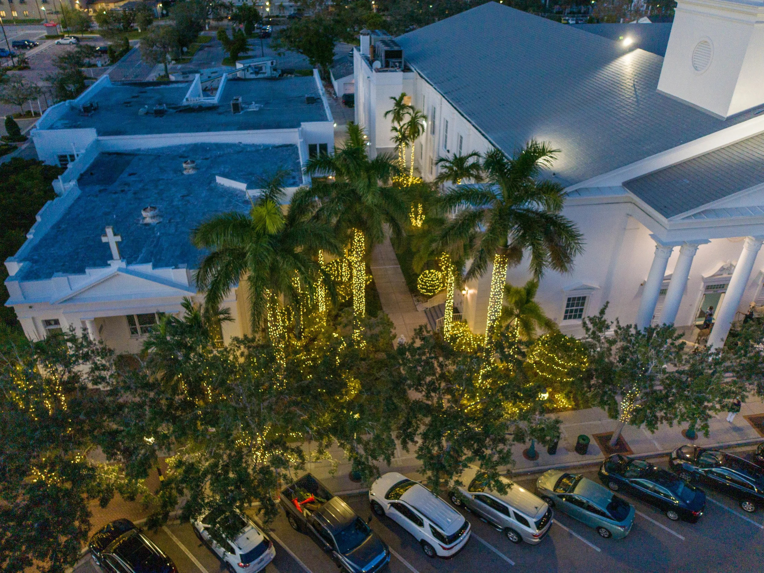 Sarasota Holiday Lighting - Lighting experts in Sarasota Florida  - Roofline, Palm tree and house Lighting