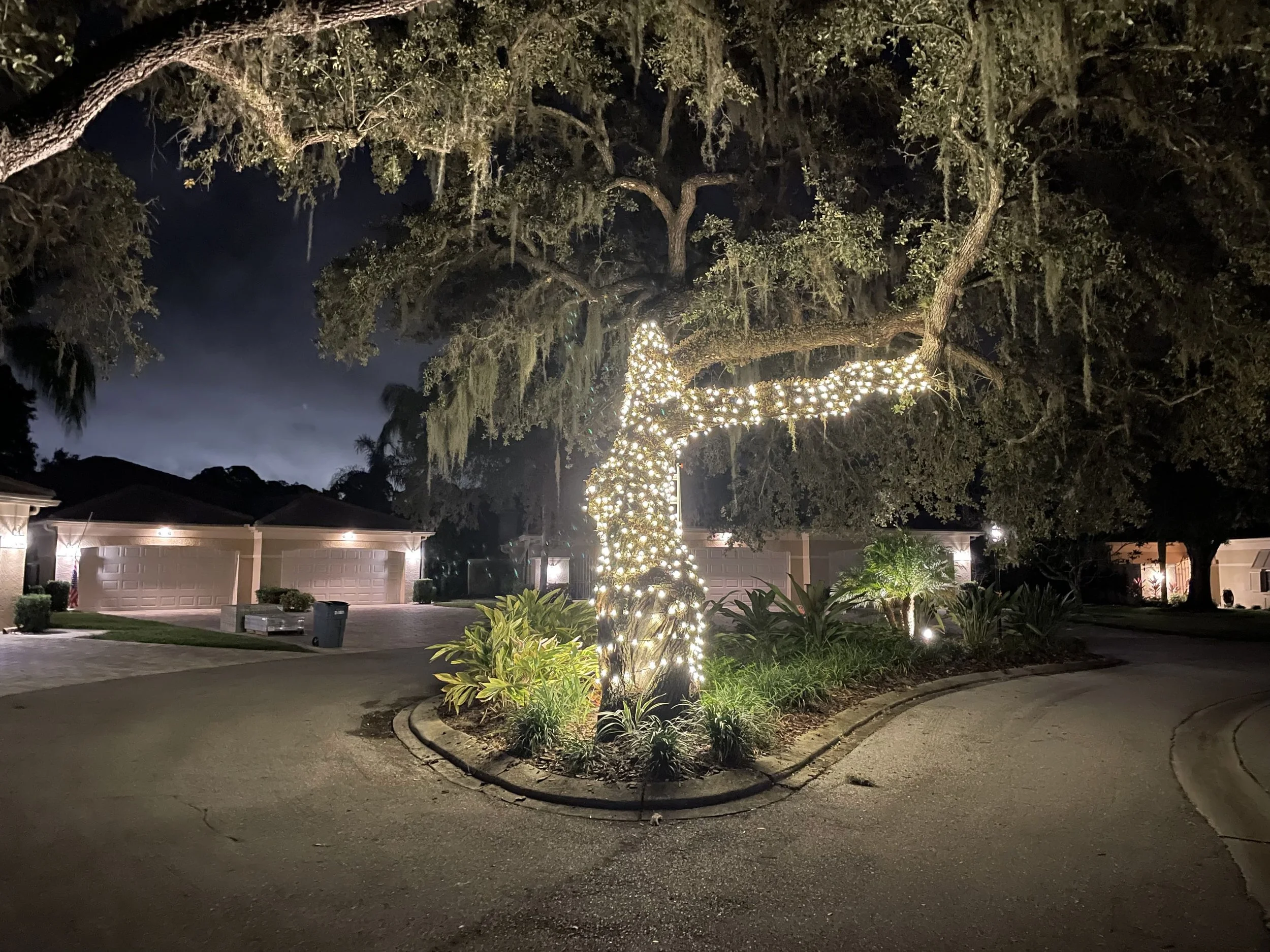 Sarasota Holiday Lighting - Lighting experts in Sarasota Florida  - Roofline, Palm tree and house Lighting