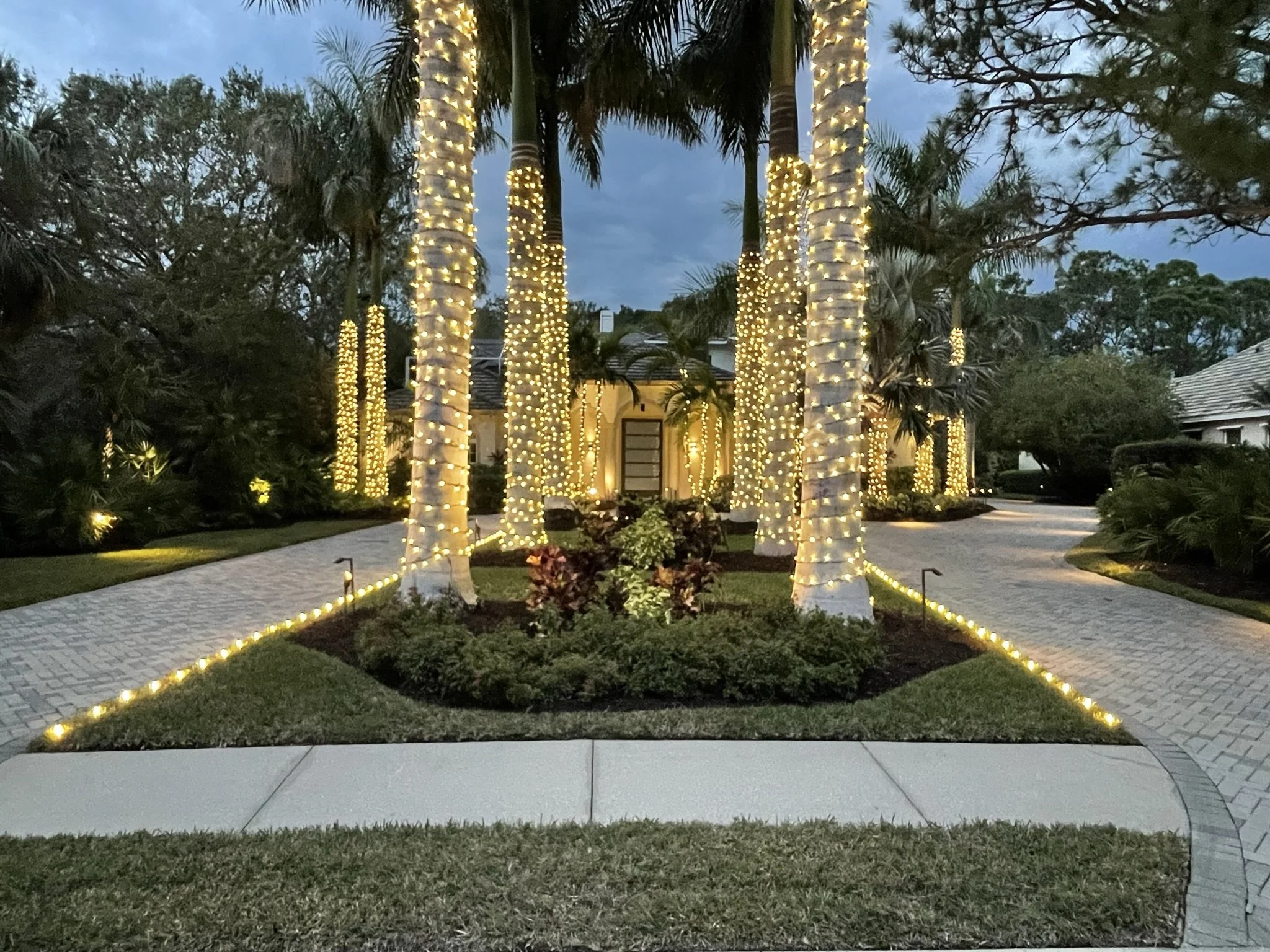 Sarasota Holiday Lighting - Lighting experts in Sarasota Florida  - Roofline, Palm tree and house Lighting