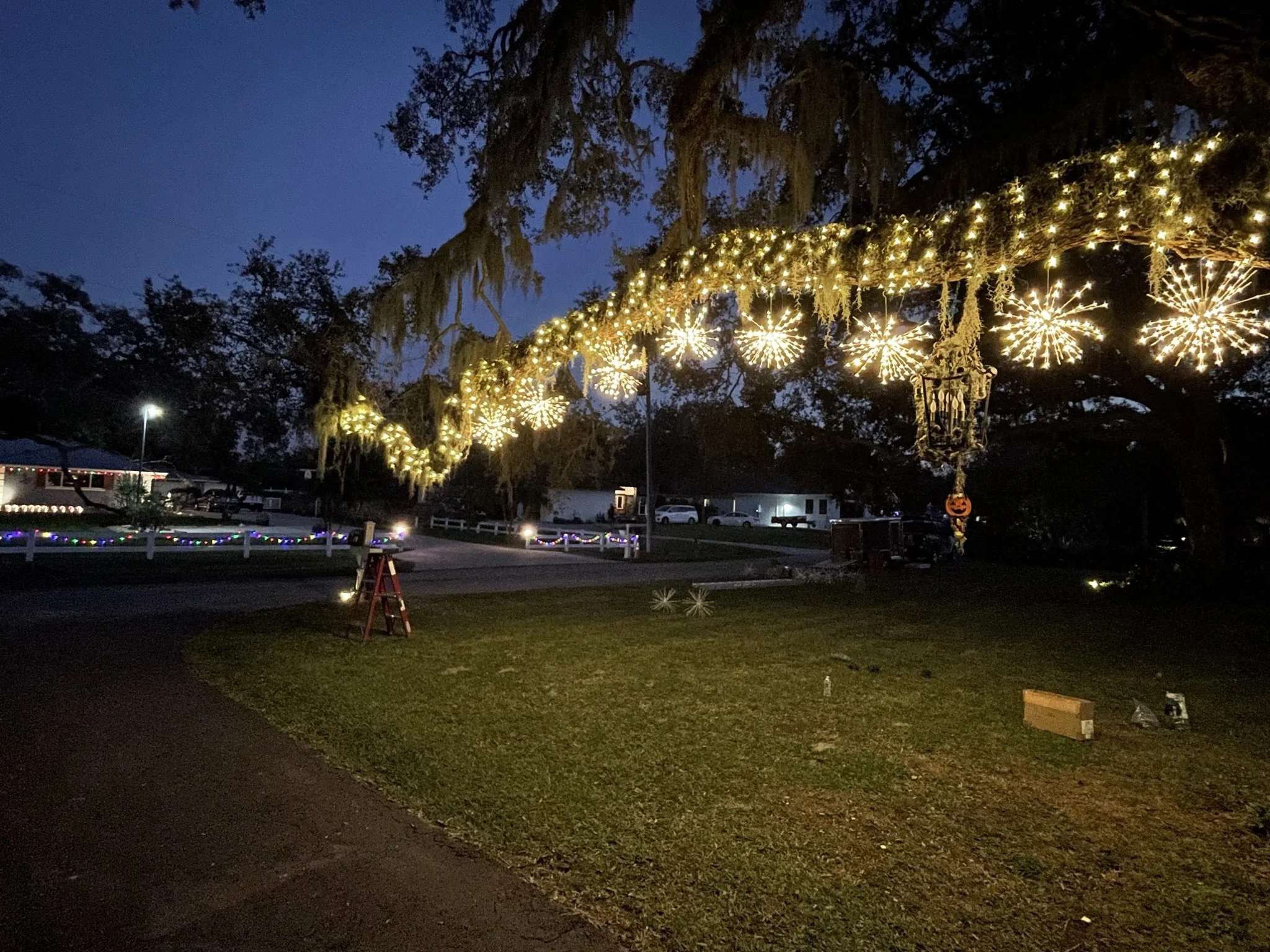 Sarasota Holiday Lighting - Lighting experts in Sarasota Florida  - Roofline, Palm tree and house Lighting